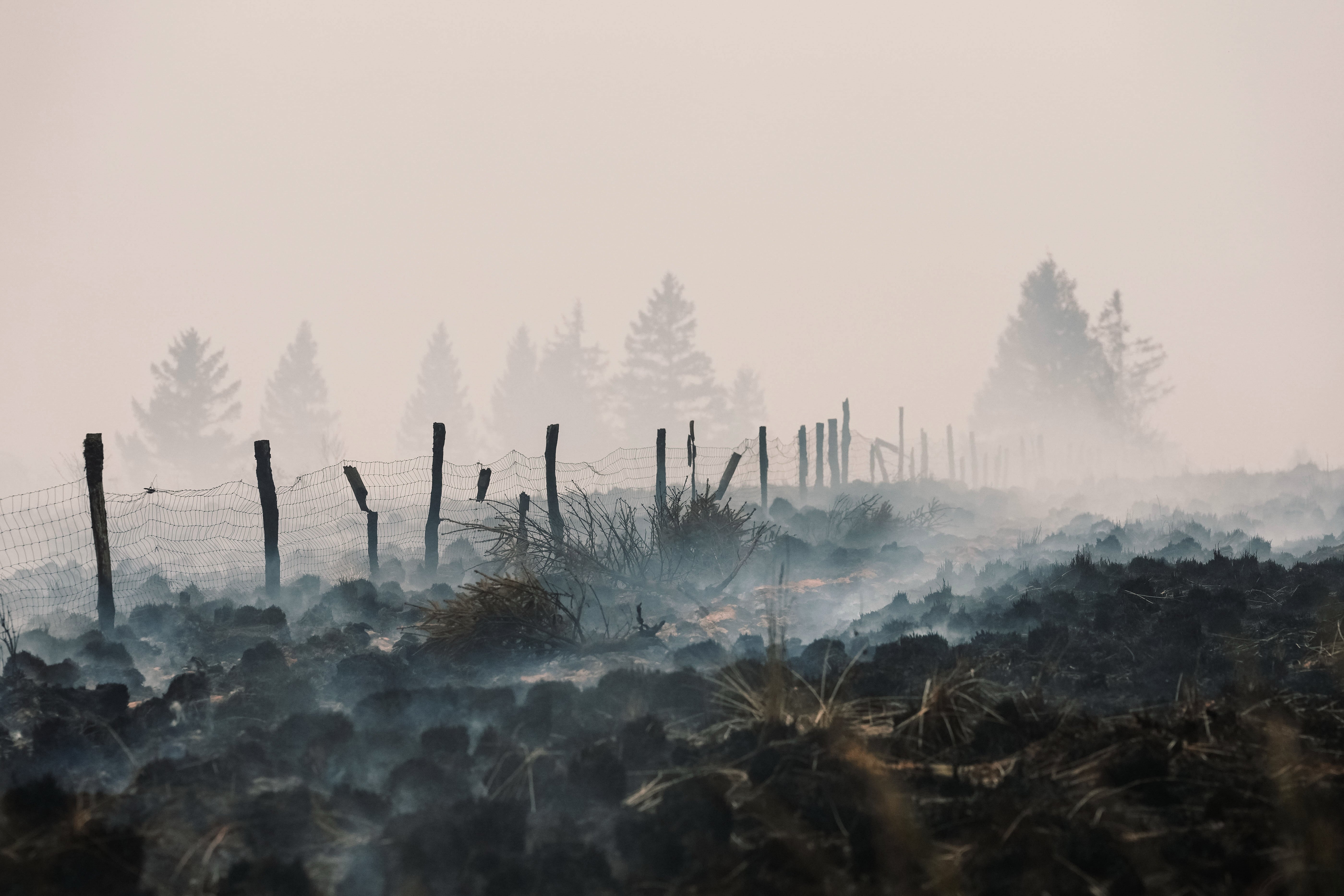 Smoke rises from a field scorched by a wildfire near Waimes, Belgium