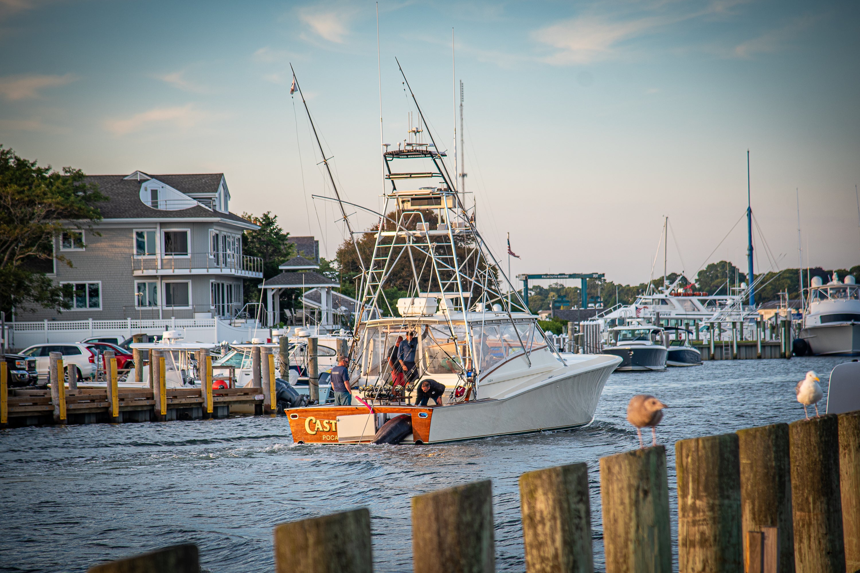 Man catches 1260-pound Atlantic blue marlin believed to break East Coast record