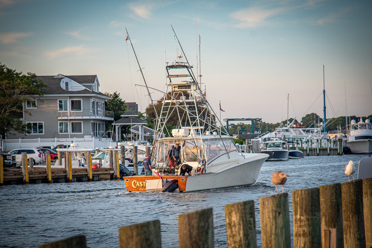 Man catches 1260-pound Atlantic blue marlin believed to break East Coast record Man catches 1260-pound Atlantic blue marlin believed to break East Coast record