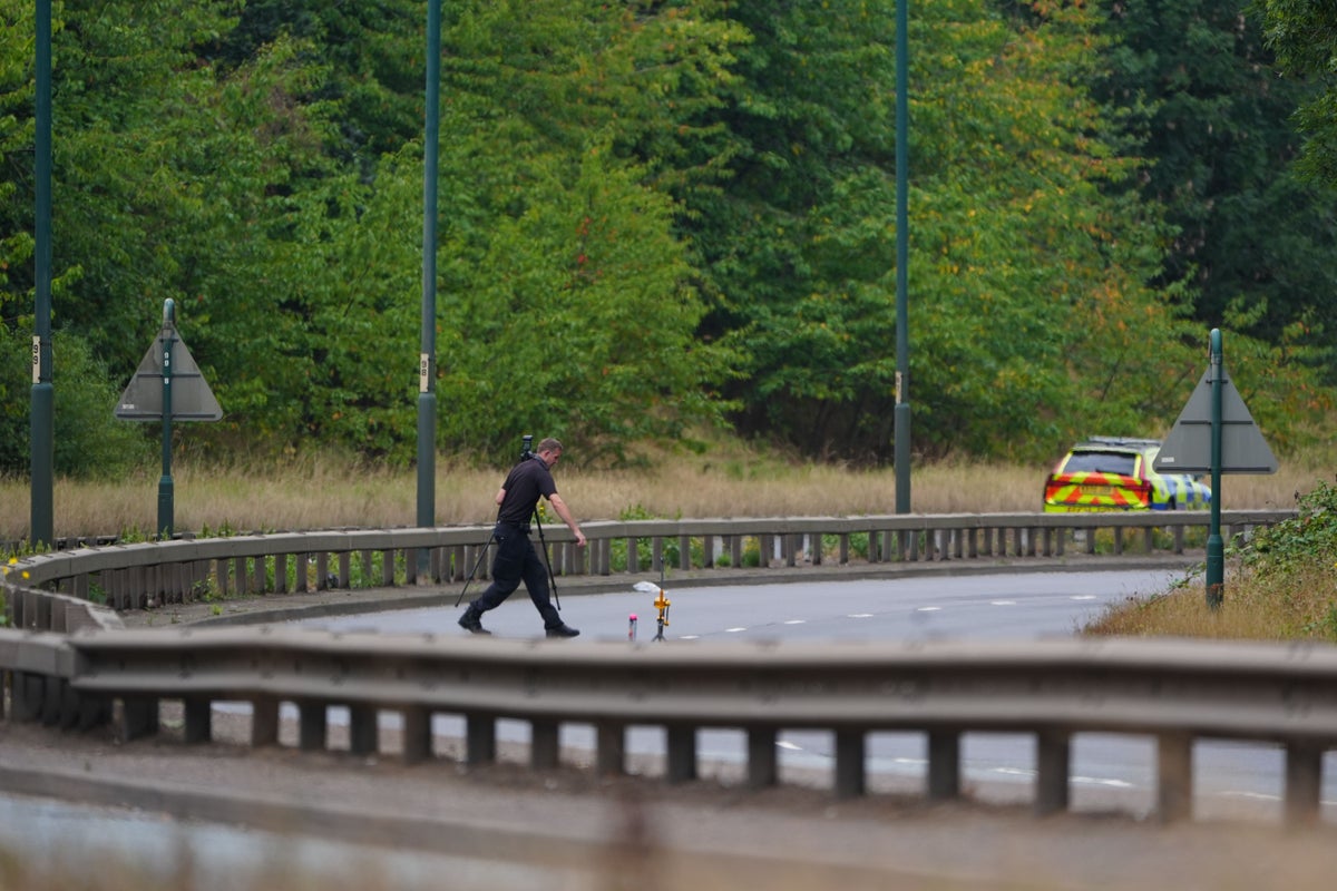 Remove content celebrating dangerous driving, social media companies told