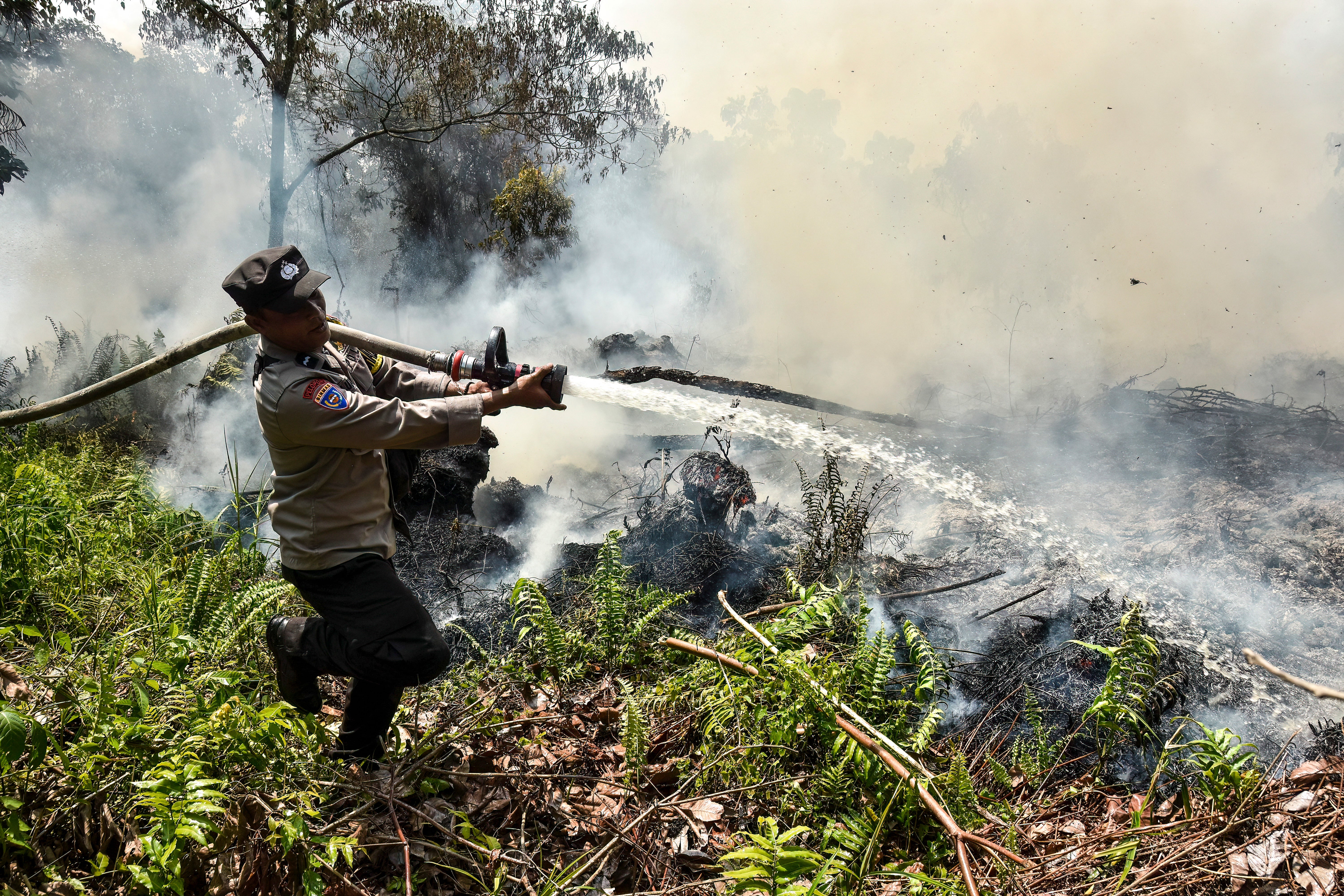 A security officer attempts to extinguish a fire burning on peatland in Kampar, Riau, on 17 August 2026