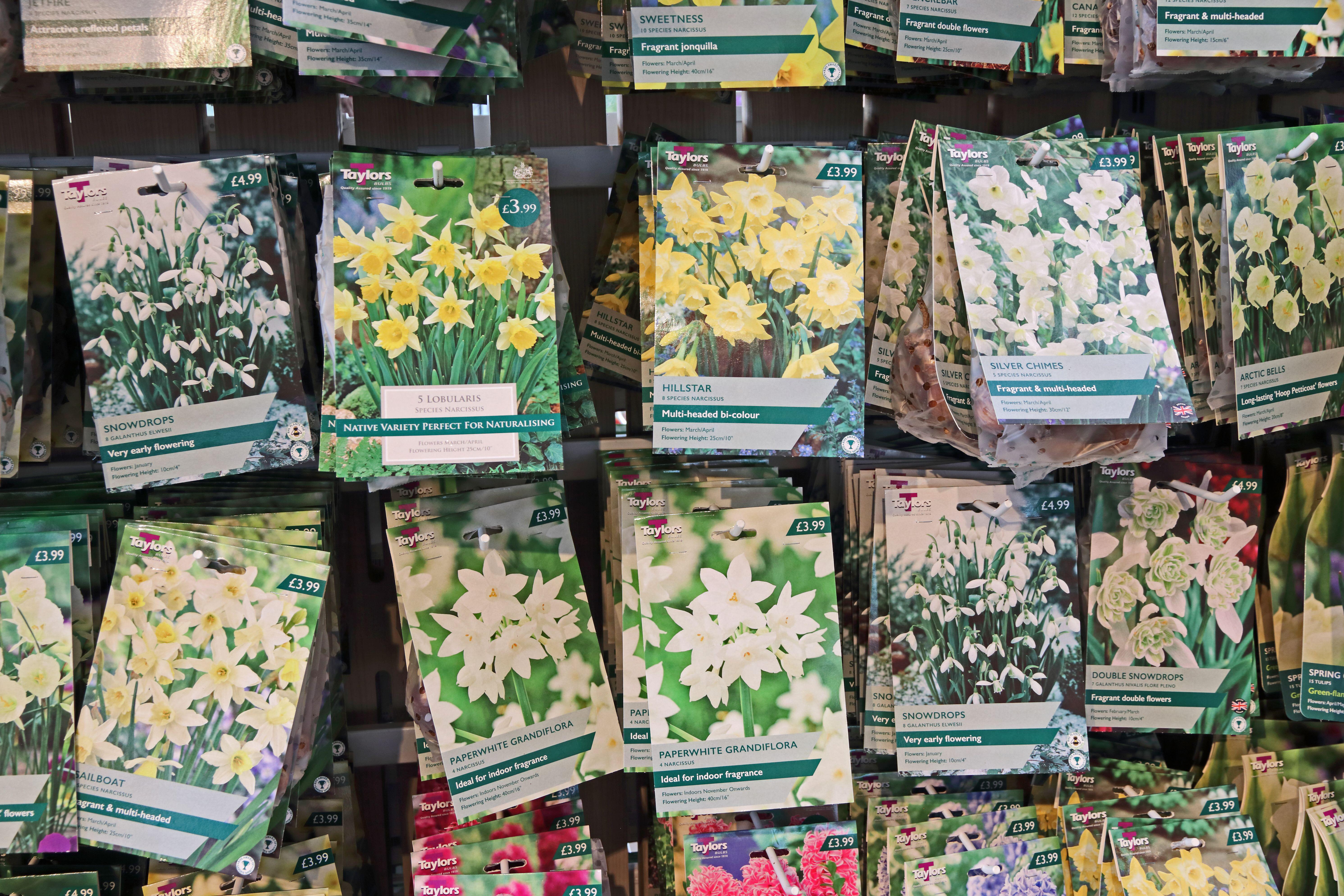 ‘On the flip side, it’s still good to get into garden centres and choose the varieties you want early while there’s the best selection,’ says Ian Clark
