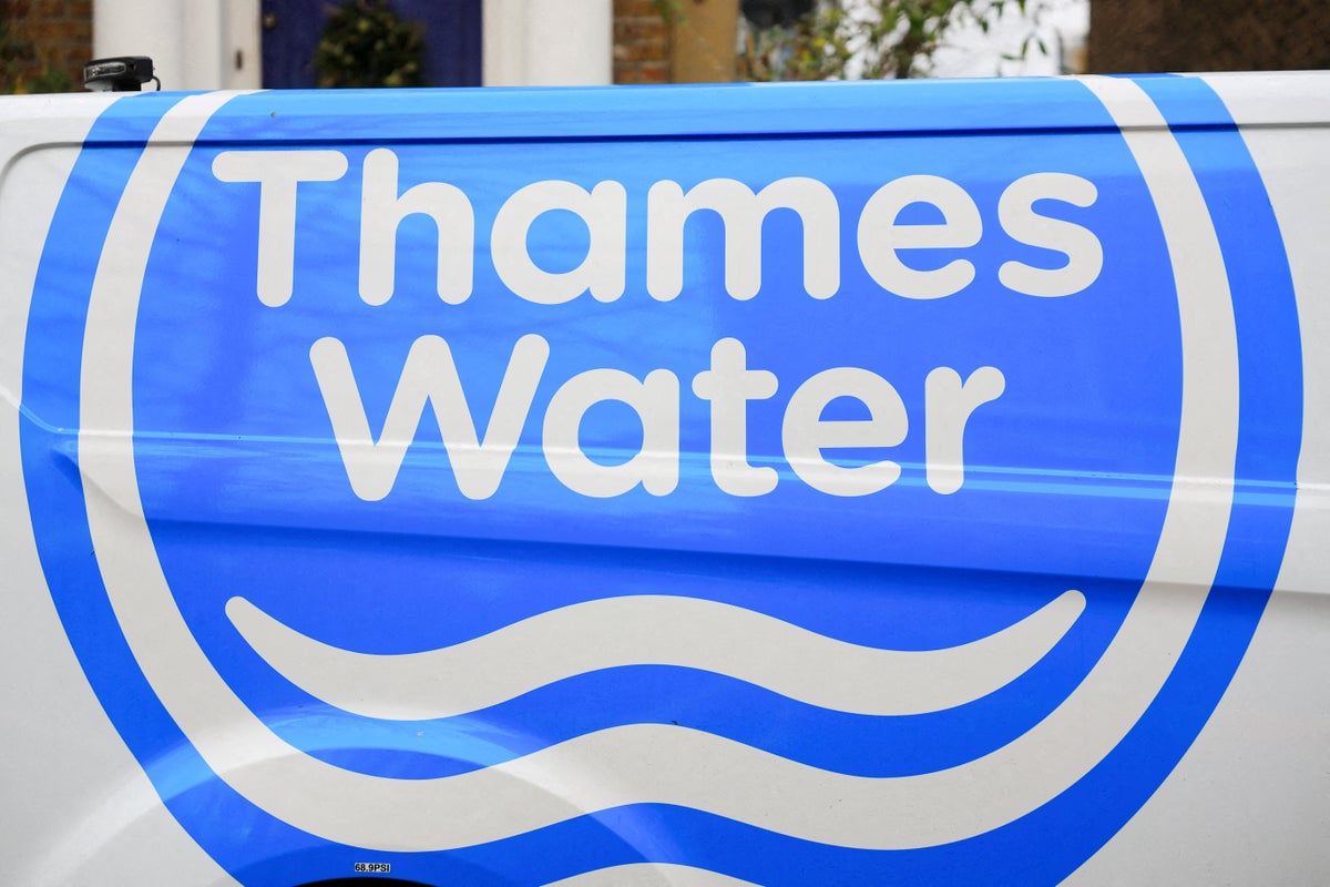 MPs urge government to take troubled Thames Water into public control
