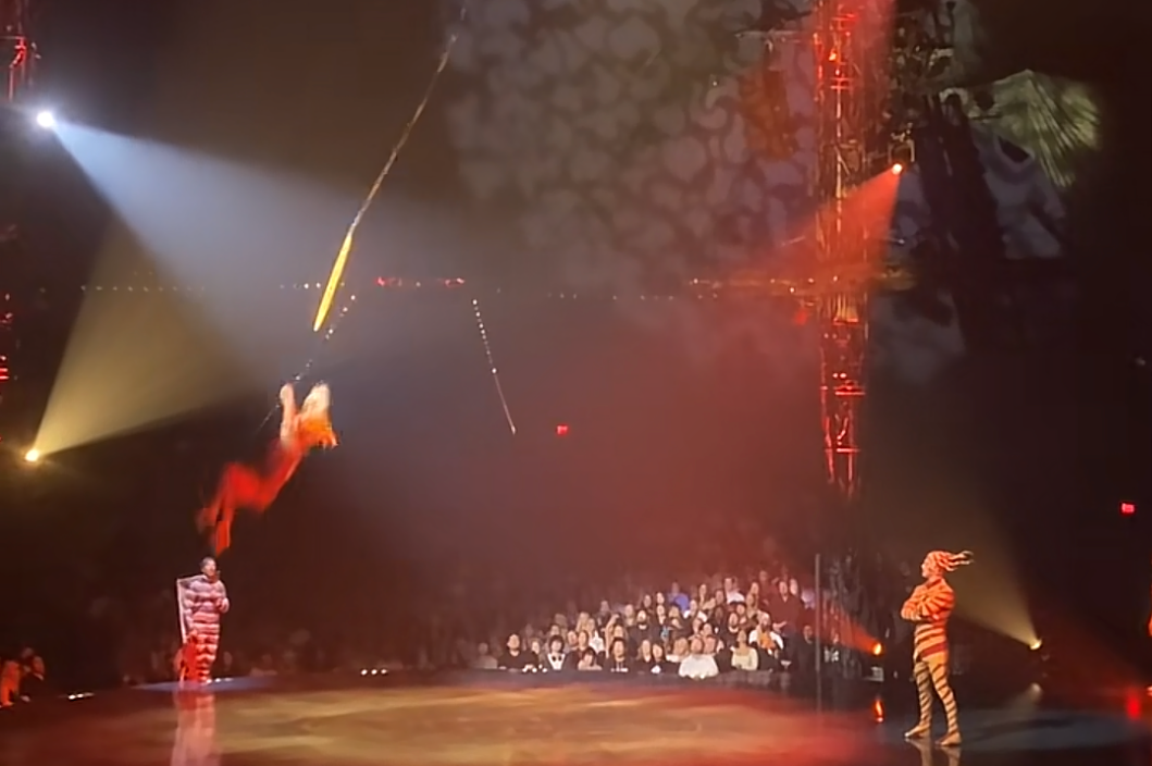 Cirque du Soleil acrobat breaks 11 bones after falling during show, sues circus