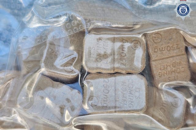 Ecstasy and ketamine found buried at UK festival days before opening