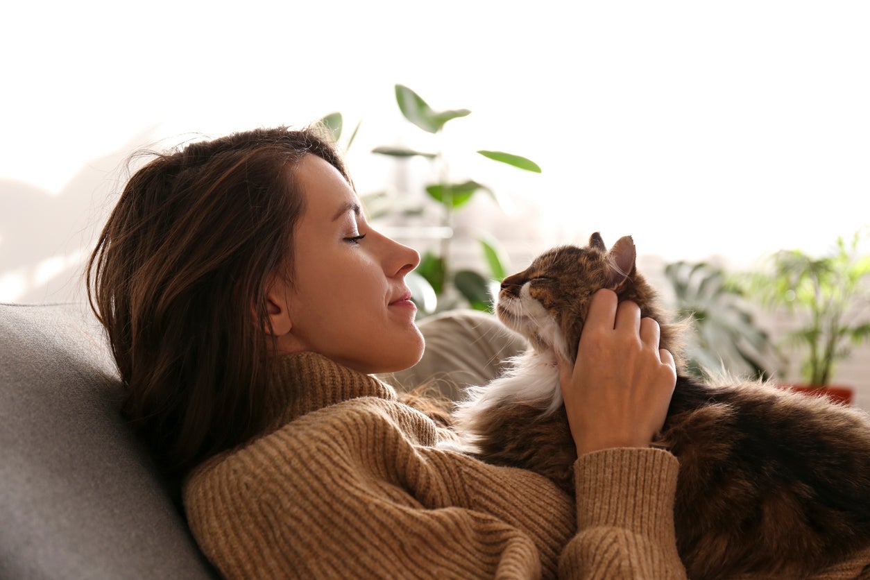 The main chemical involved is oxytocin, often called the love hormone