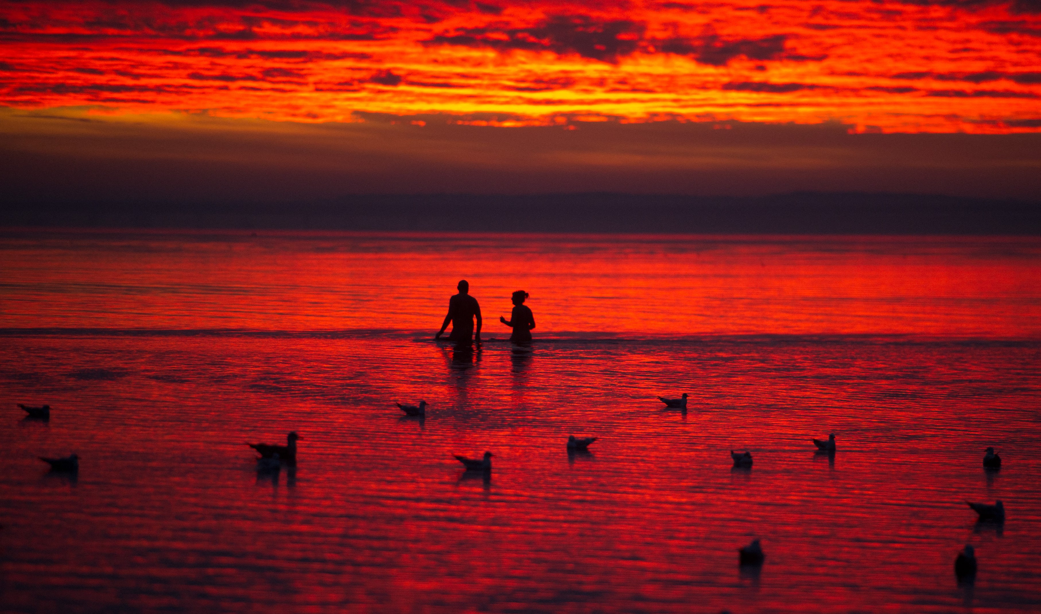 Global sea surface temperatures are at the highest levels on record — and potentially in millennia