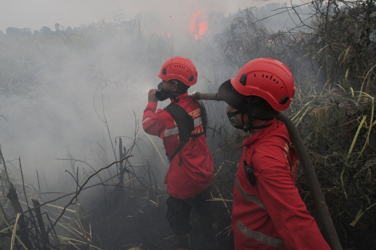 Muslims gather for rain prayers in Indonesia's wildfire-hit South Sumatra