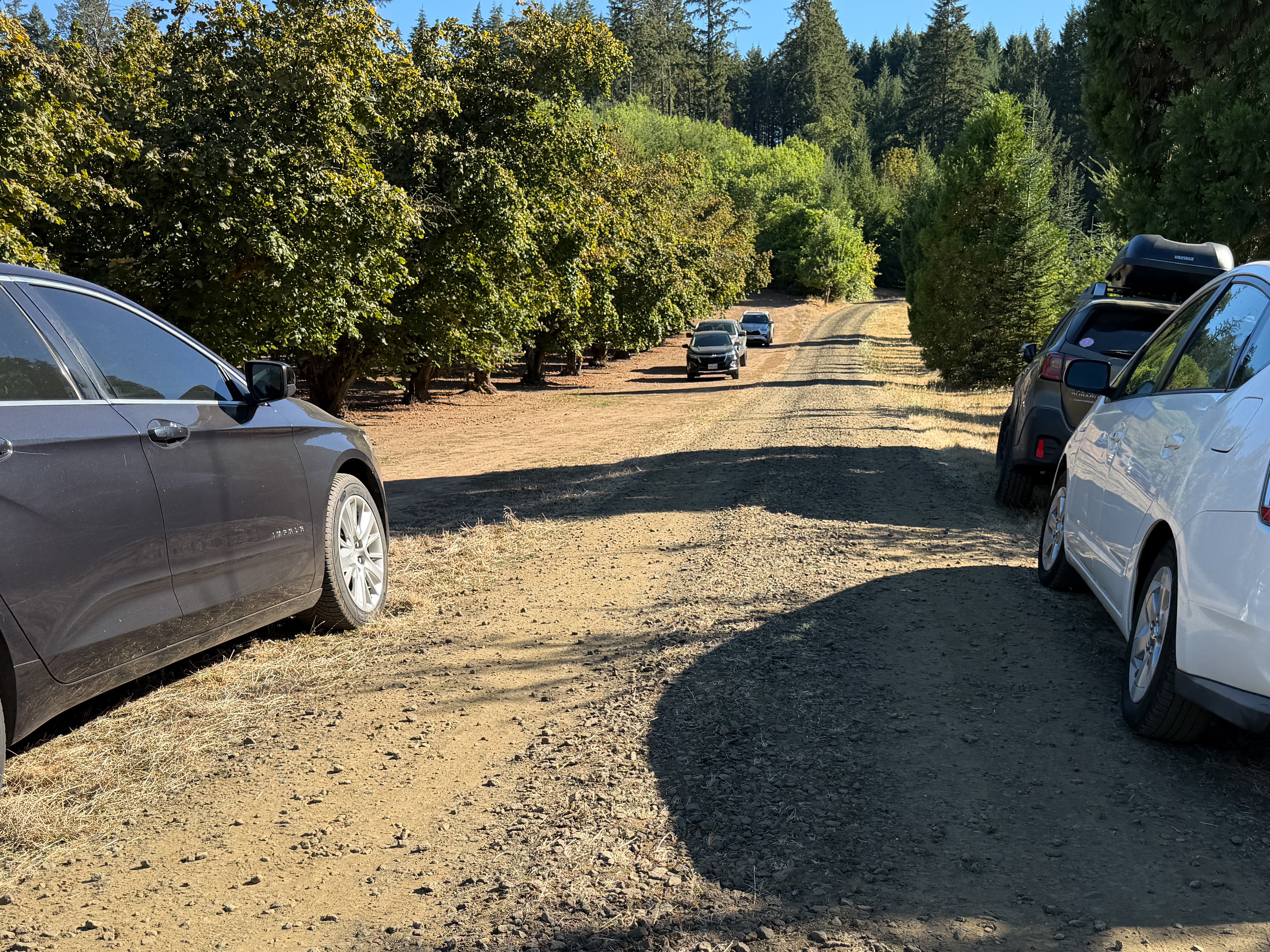 Oregon Quintuple Homicide