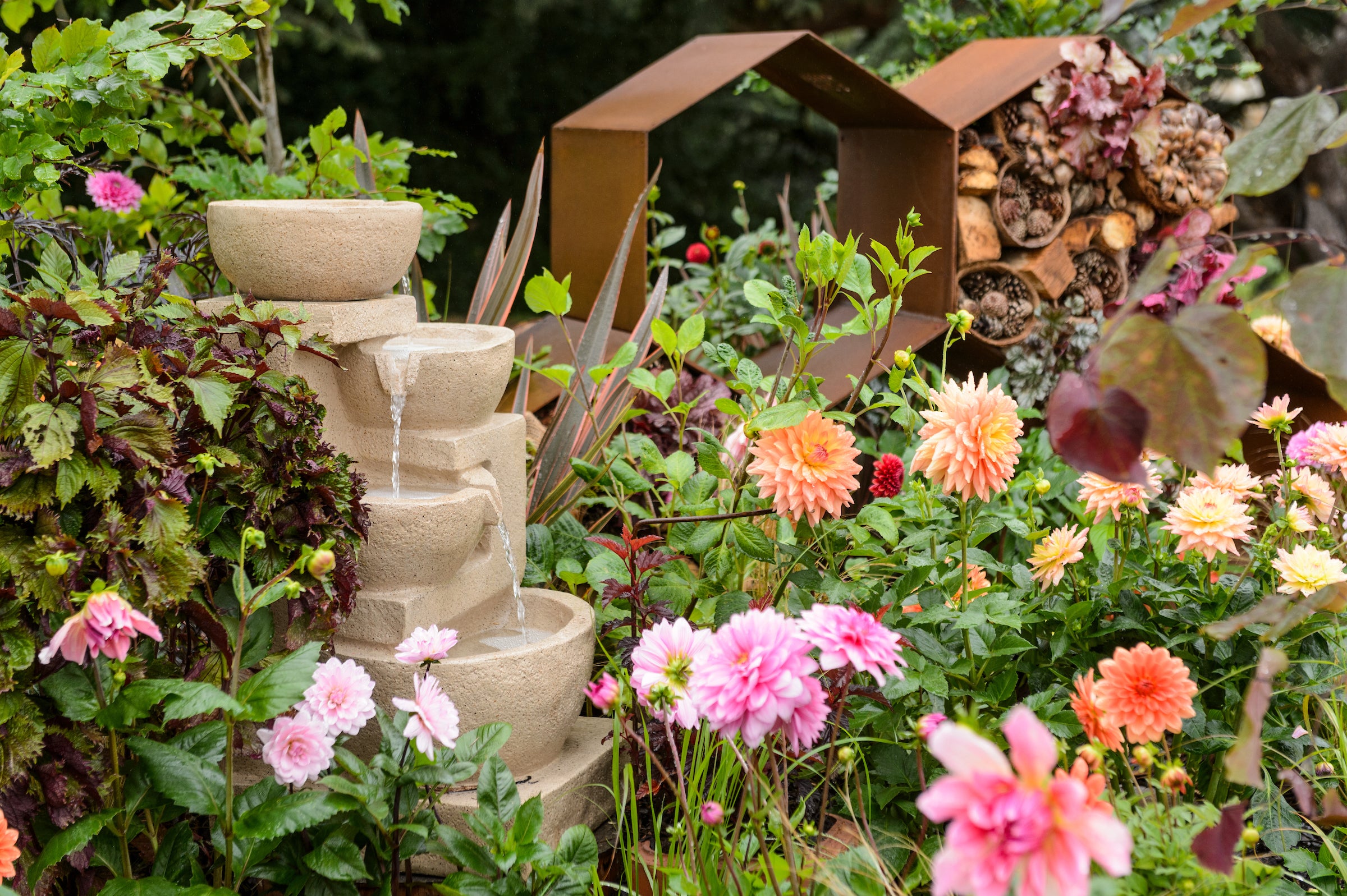 (BBC Gardeners’ World/PA)