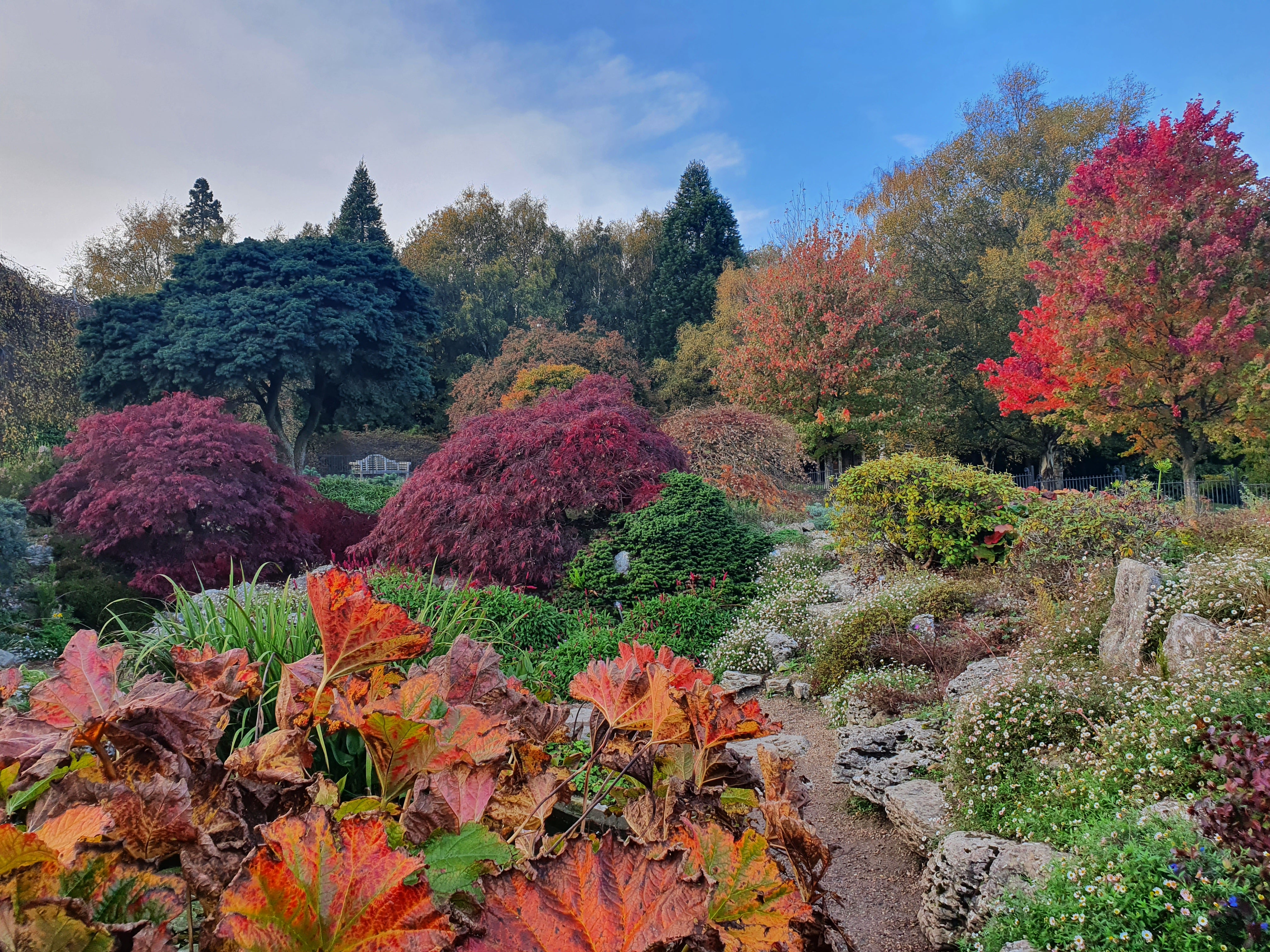 Emmetts Garden alpines (Nick Dougan/National Trust Images/PA)