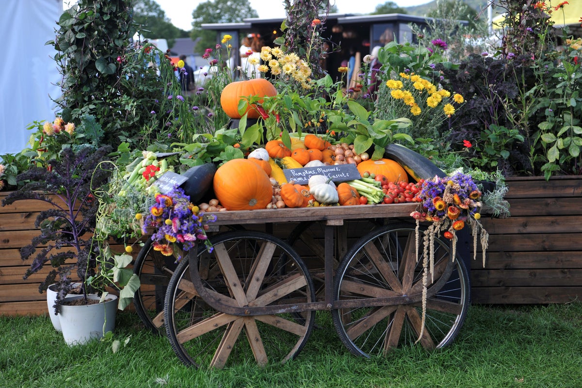 11 garden festivals to savour this autumn 11 garden festivals to savour this autumn
