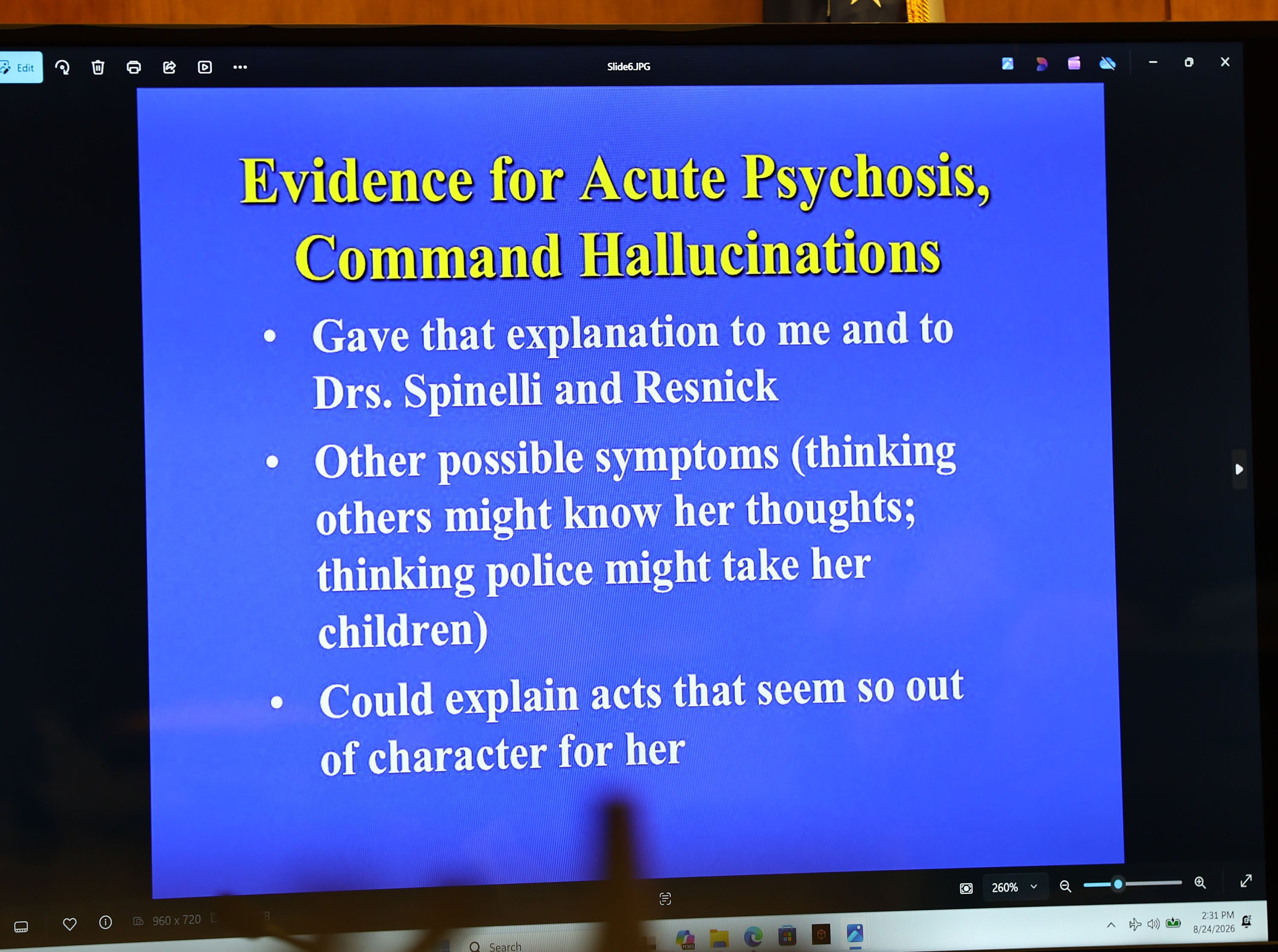 Dr. Kirk Heilbrun, a prosecution rebuttal witness lists some of his diagnosis categories for the jury