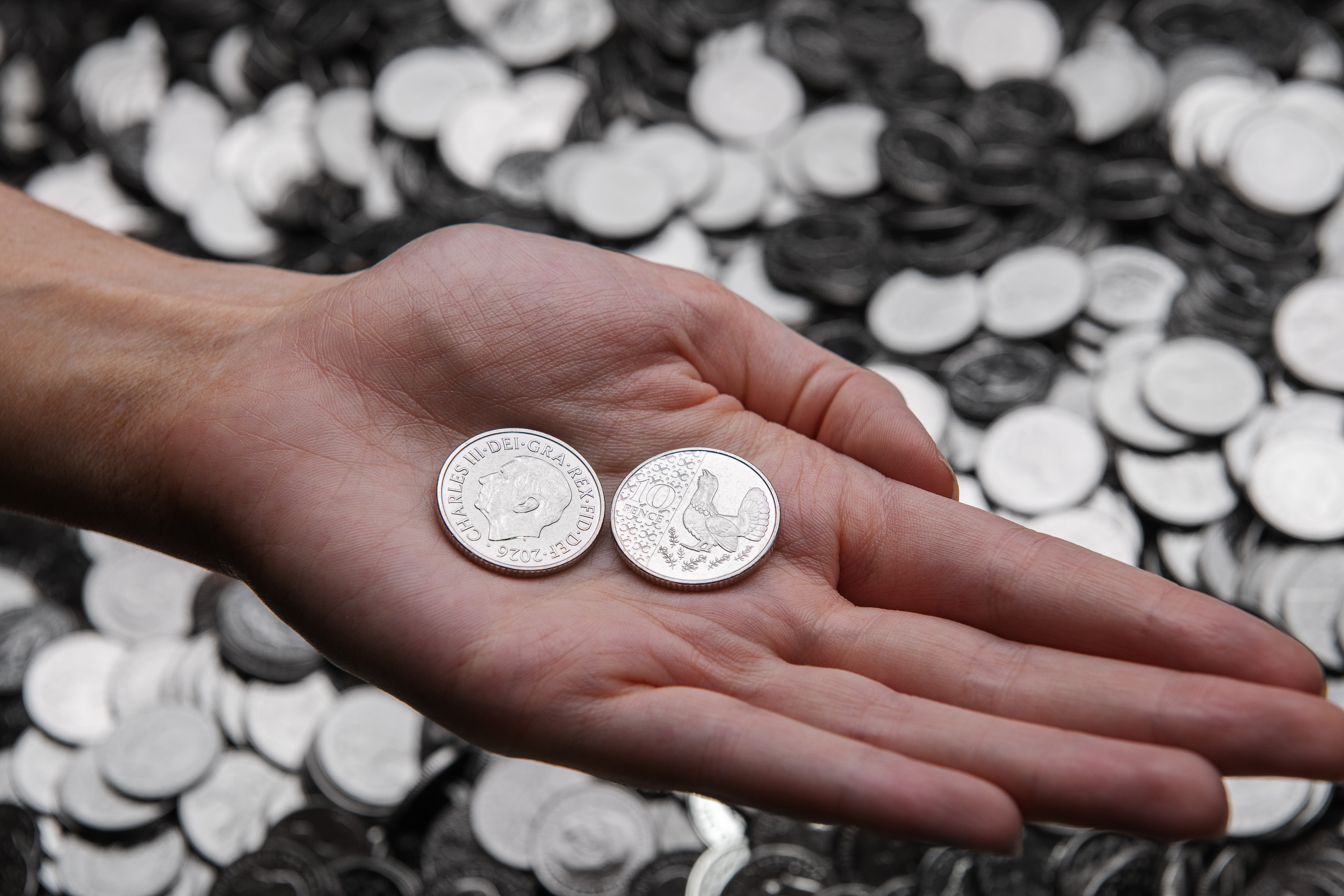 The reverse of the new 10p will feature the capercaillie bird