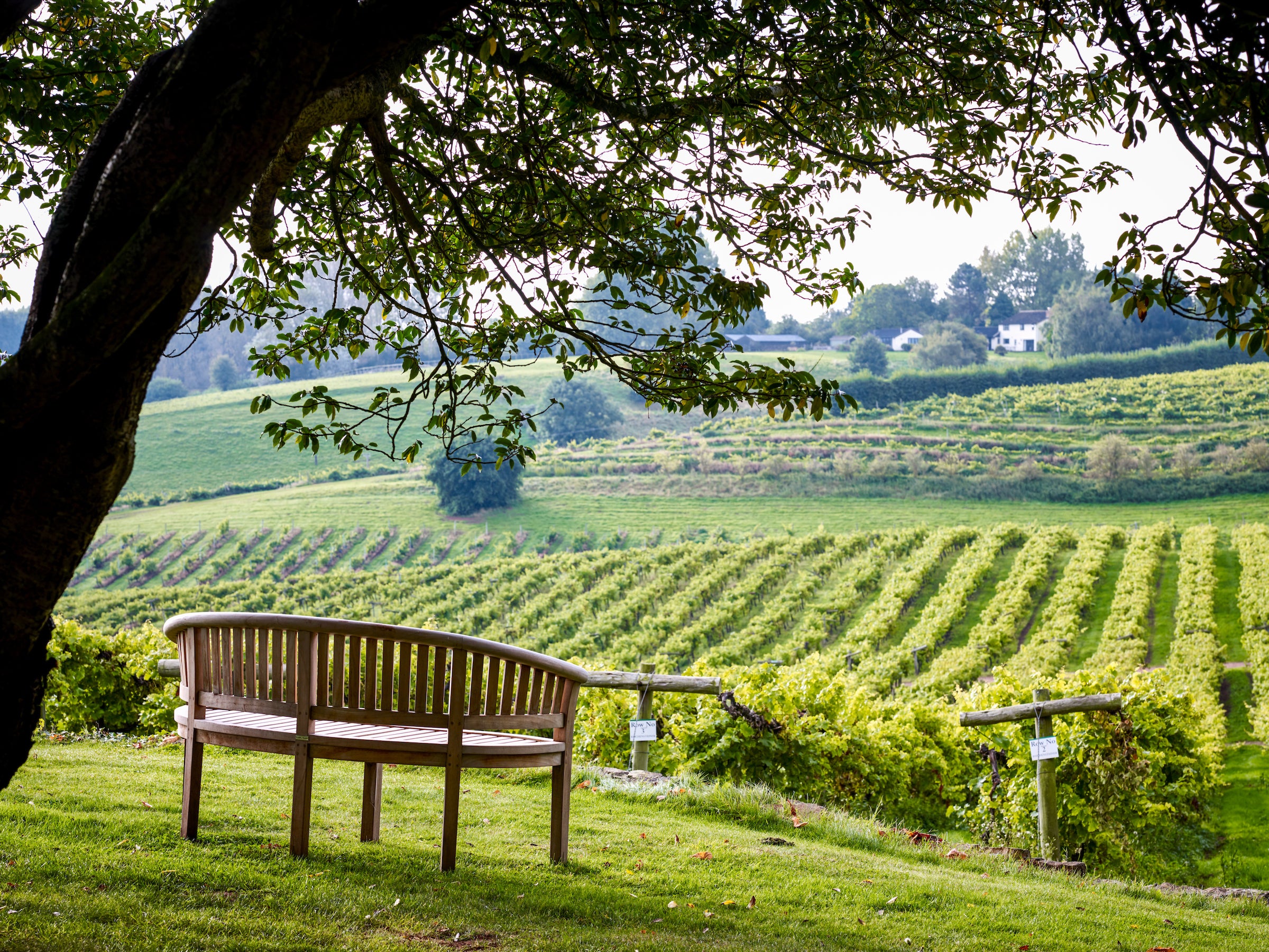 I’m a travel expert and these are eight great value autumn holidays