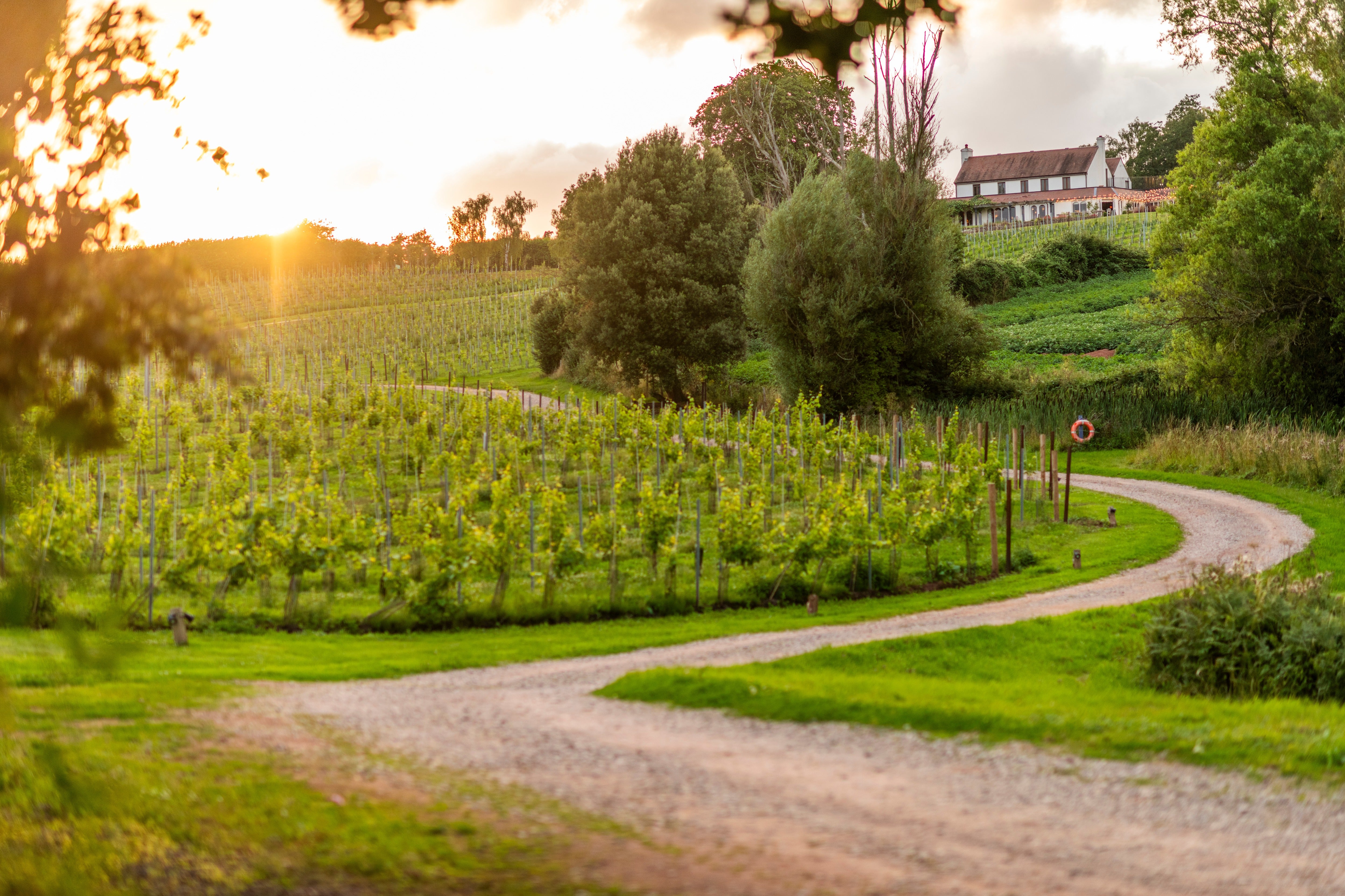 Three Choirs Vineyards is located in Newent, Gloucestershire