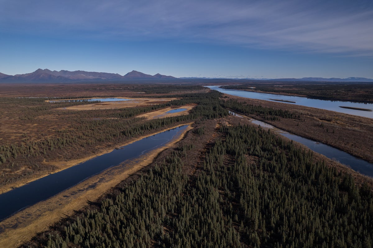 A lush knee-high jungle grows in the Arctic, but warming is changing Earth's mini-greenhouse