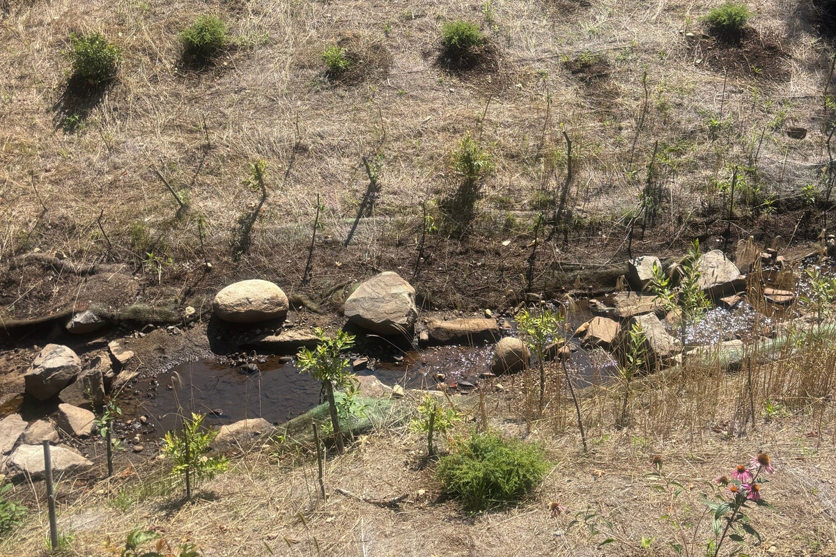 Living shorelines in Maine show mixed success Living shorelines in Maine show mixed success