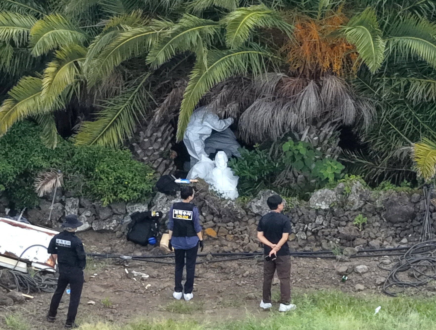 Police officers inspect the scene where the body of missing person Jang Mi-ran was discovered at a palm tree farm in Jeju on the Jeju island, South Korea