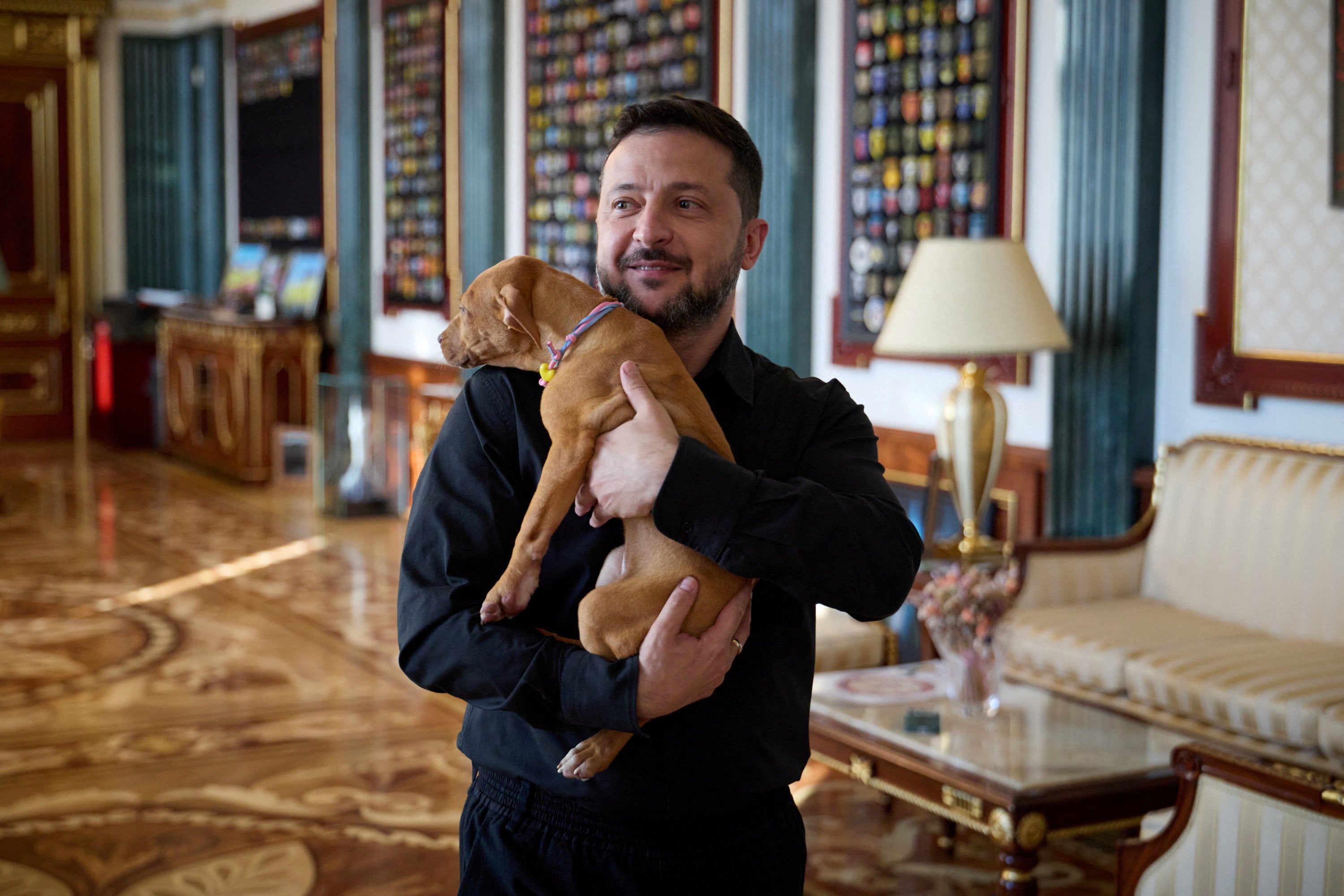 Ukraine's President Volodymyr Zelensky holds a puppy of American pit bull terrier named Freya, given to him by former American professional boxer Terence Crawford after their meeting on Tuesday
