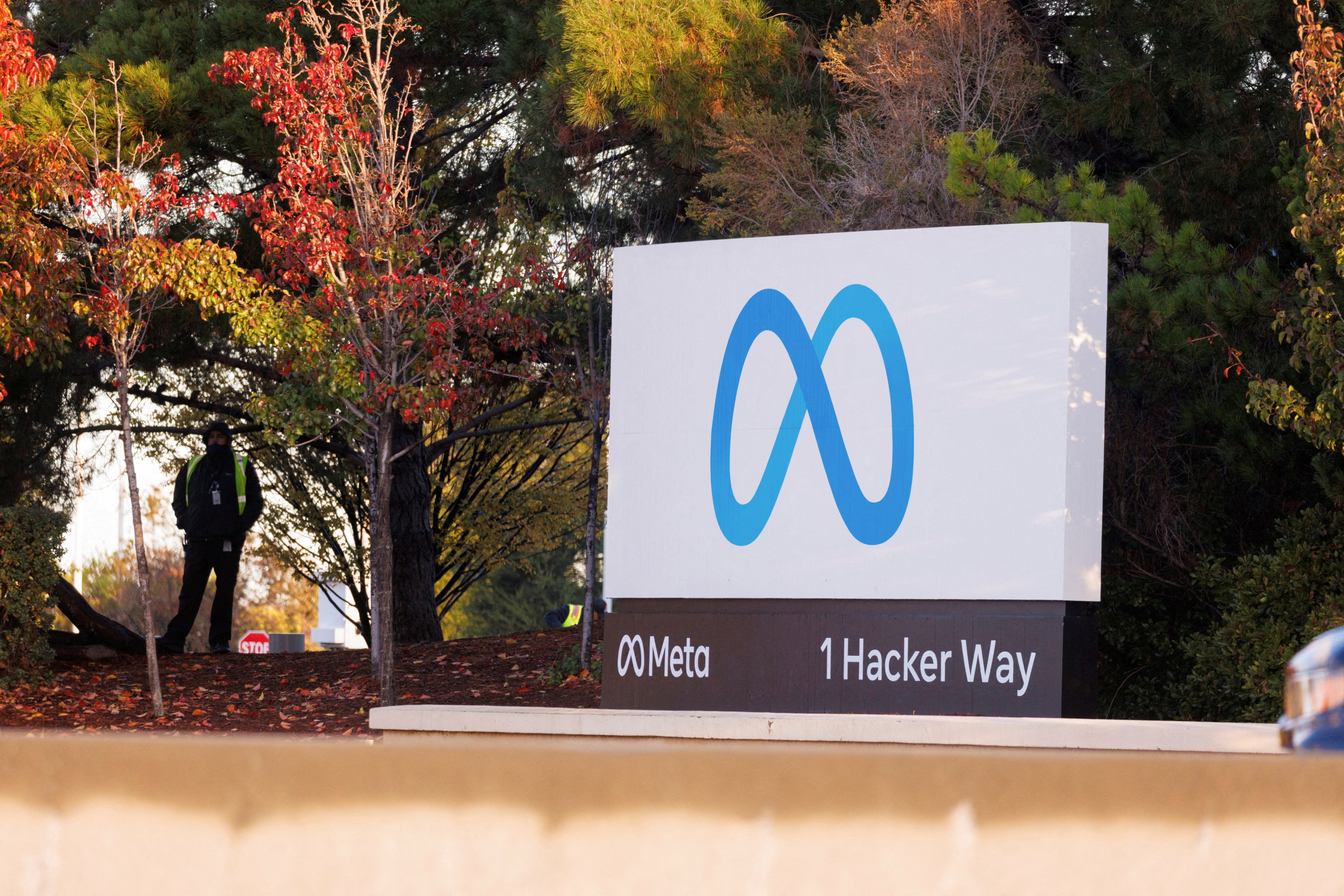 The adverts were all detected on platforms owned by social media giant Meta