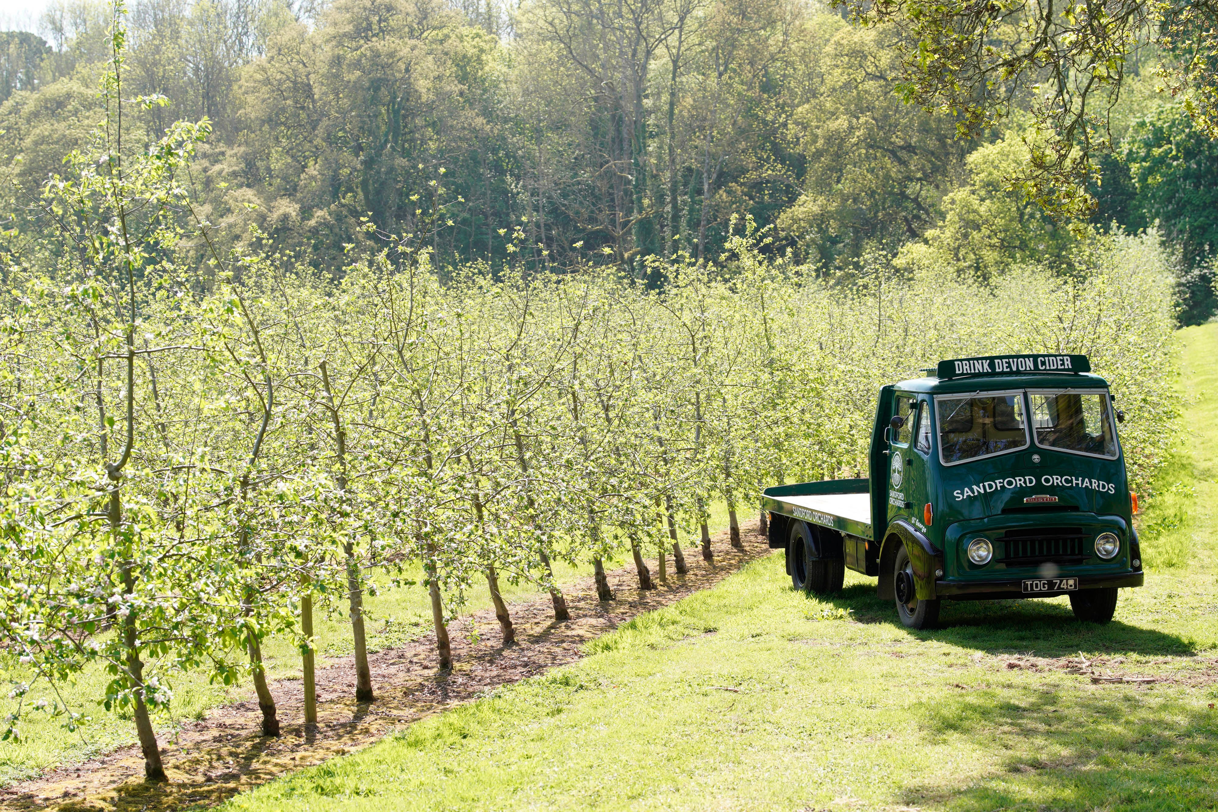 <p>Are we about to run out of cider? The drought threatening Britain&rsquo;s next pints</p>