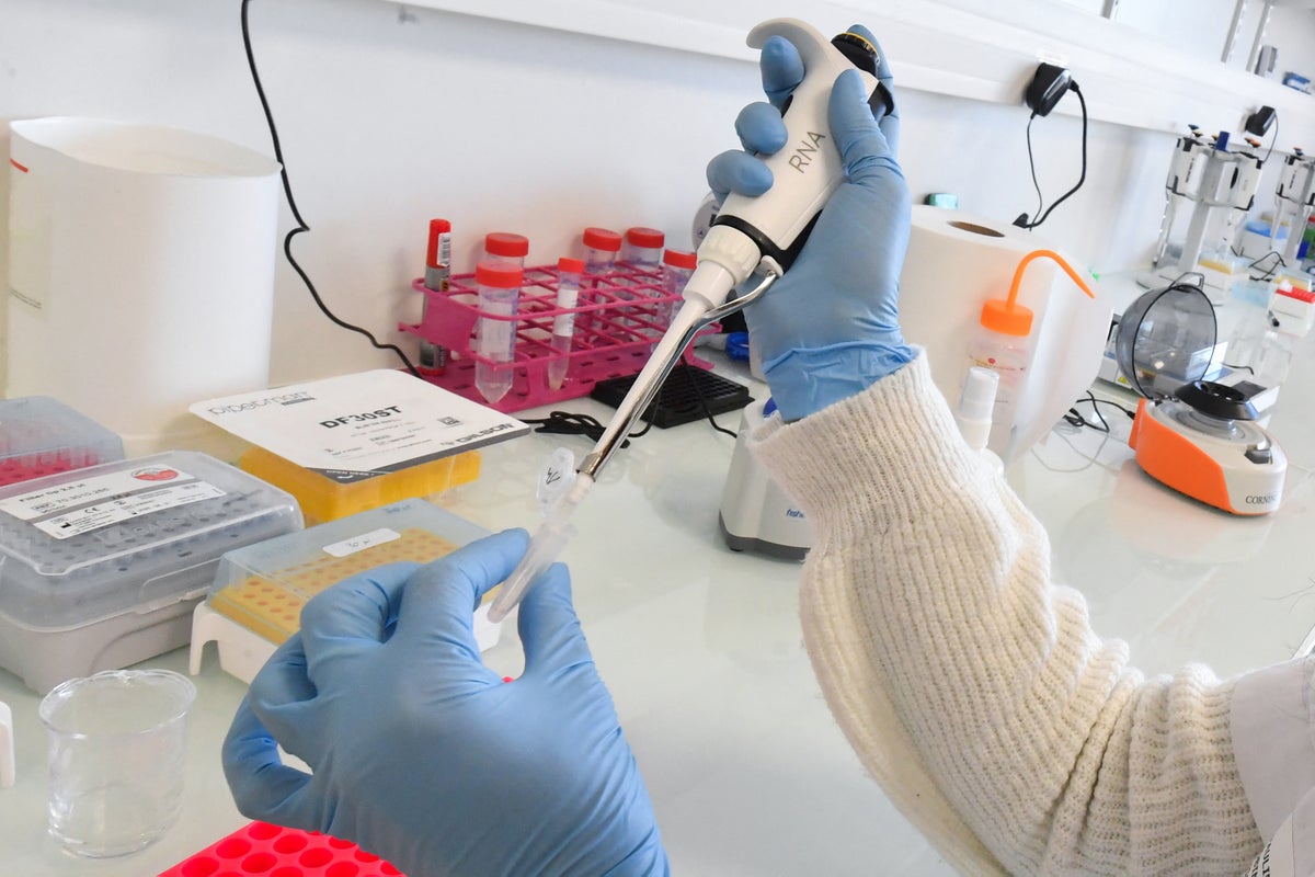 New hope for pancreatic cancer patients after FDA approves drug to improve survival