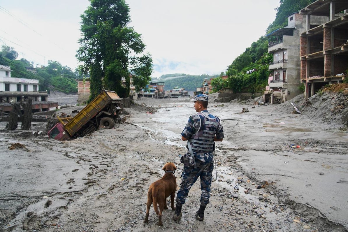 A policeman with a sniffer dog looks at the damage in the aftermath of flash floods in Devighat in the Nuwakot district in Nepal, Thursday, Aug 27, 2026