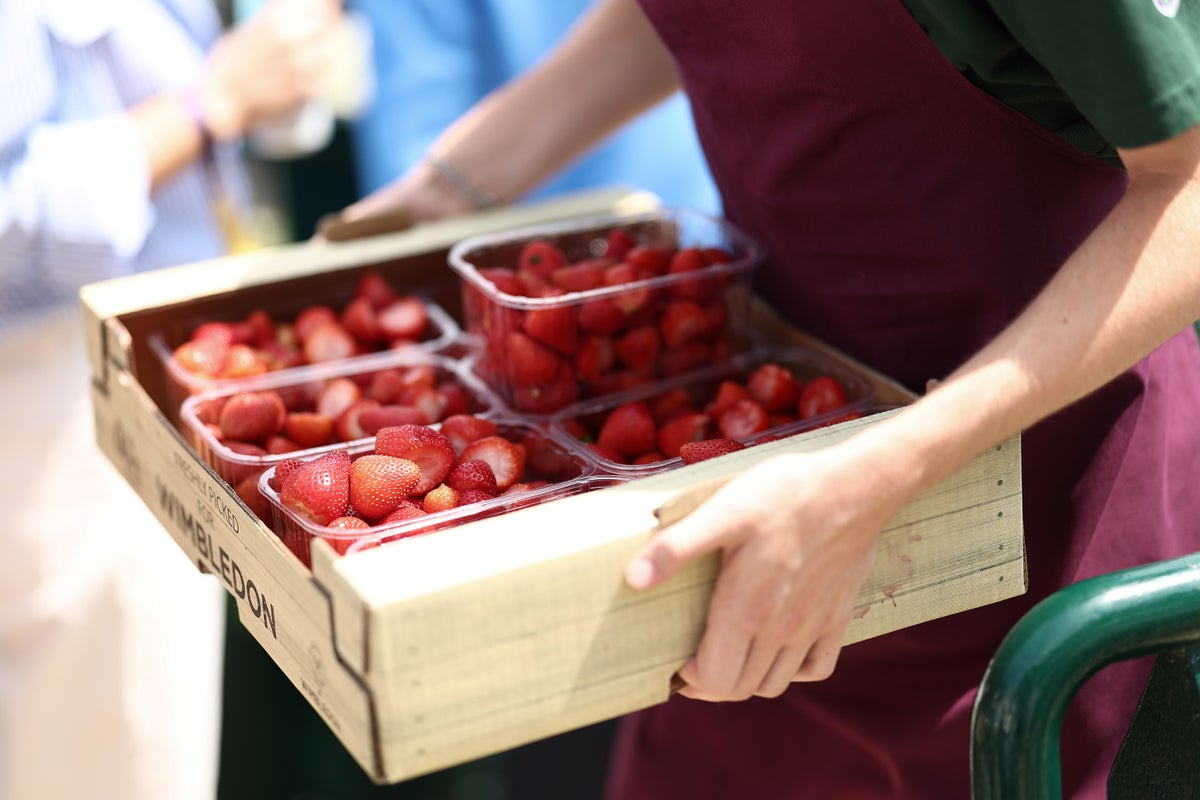 Record-breaking heatwaves lead to bumper berry crops after summer of wildfires and water shortages