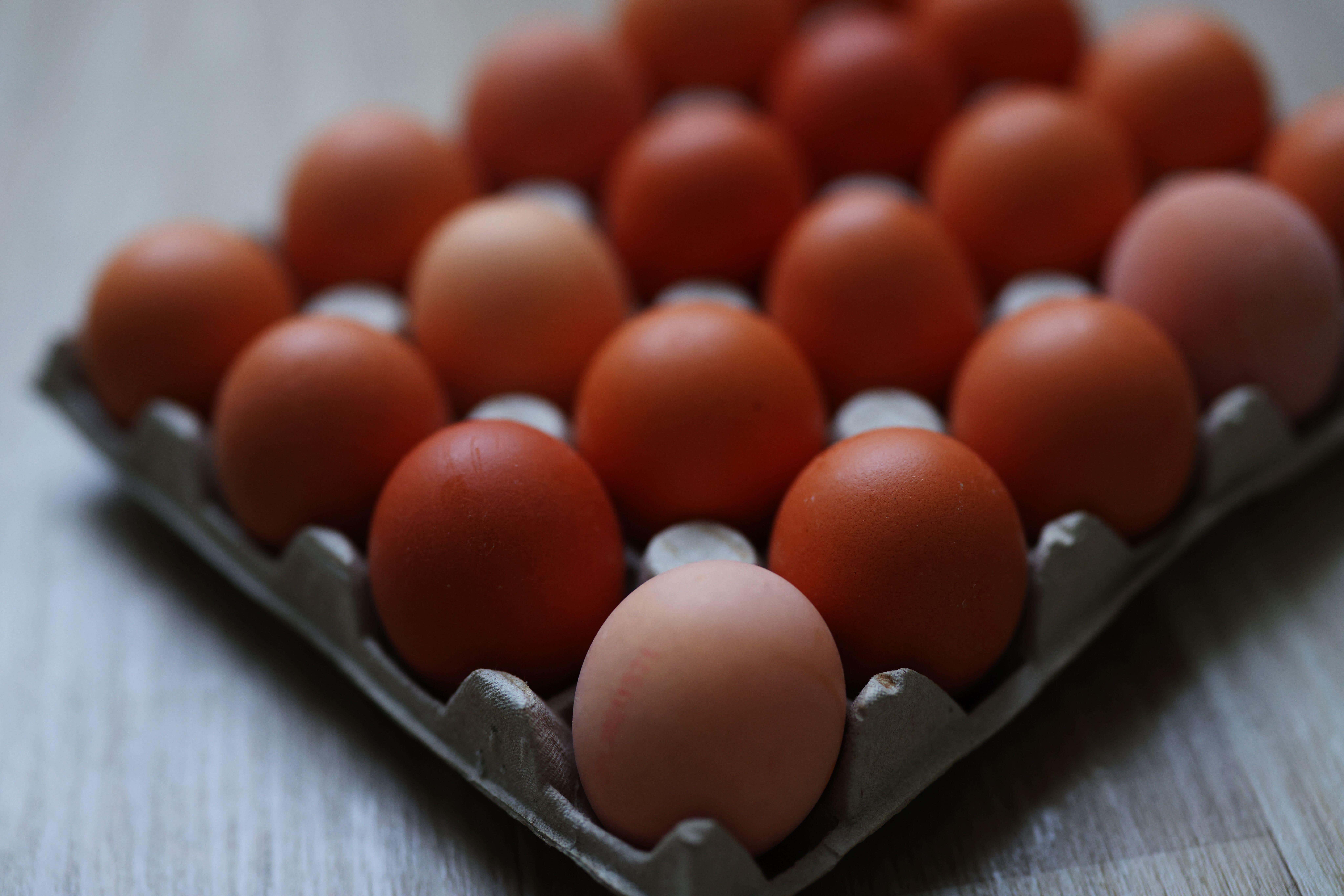 As of August 25, there have been 259 cases of salmonella and one death, the UKHSA said