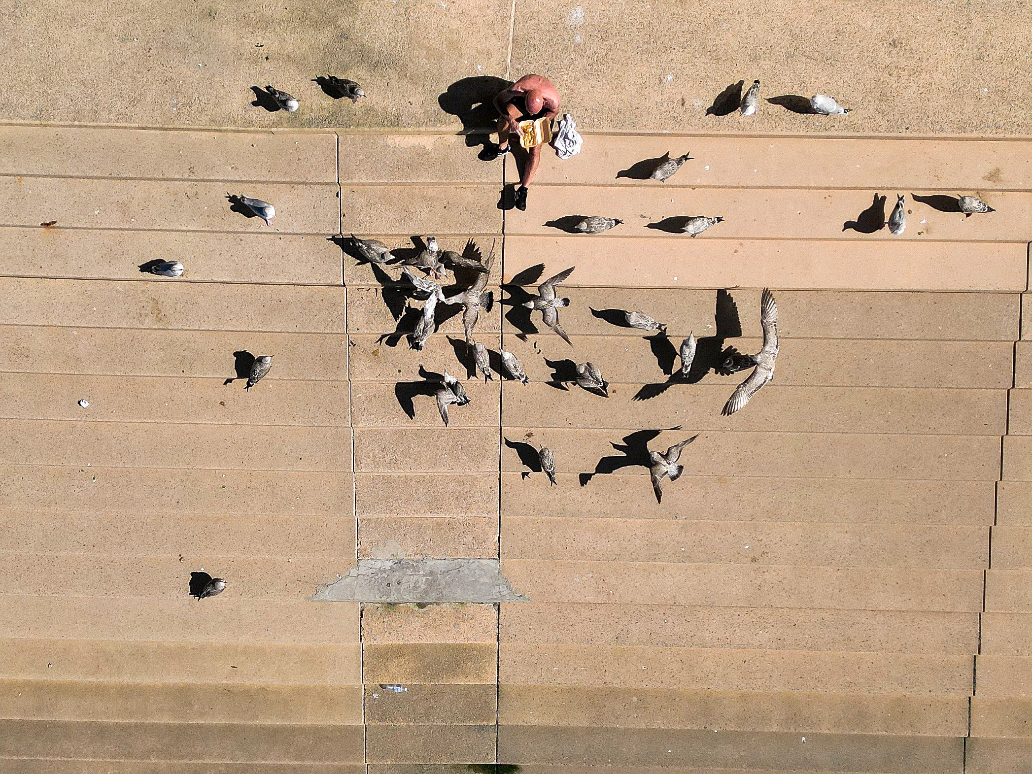 People hoping for fish and chips in Margate can rest assured their meal will be compensated with the ‘Gull Guarantee’