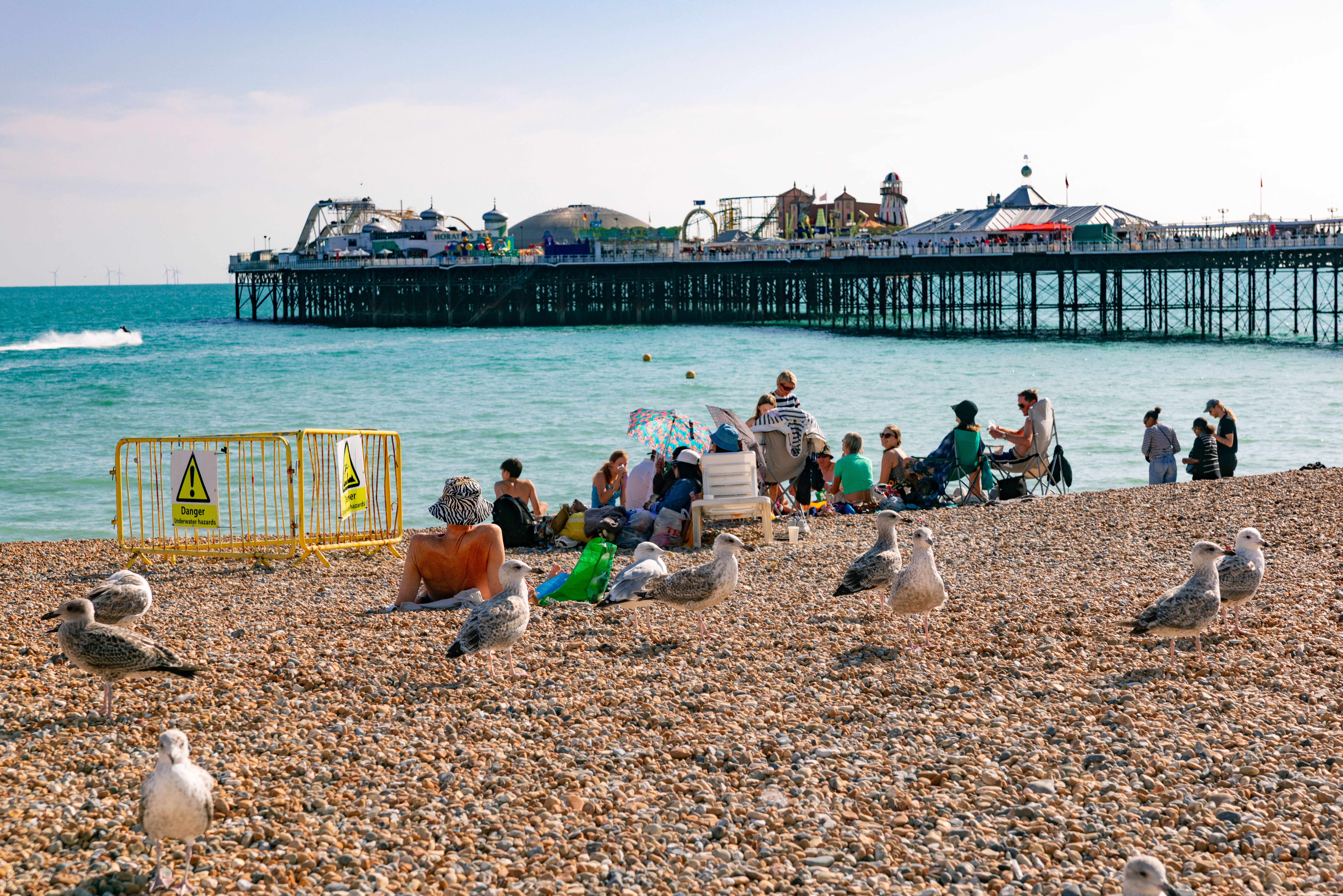 More than three-quarters of Britons say they have changed where or how they eat outdoors to stop seagulls stealing their food