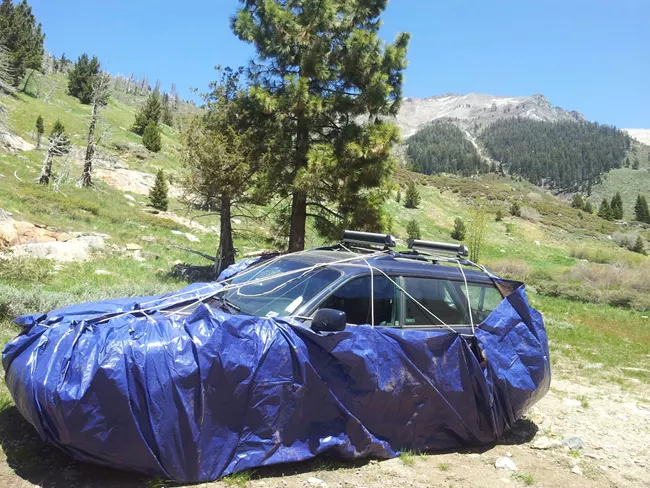 Park visitors are urged to wrap their cars in plastic tarps to keep marmots from getting underneath, where they can chew plastic, radiator hoses, brake lines and electrical wires (National Park Service/Jennifer Swacina)