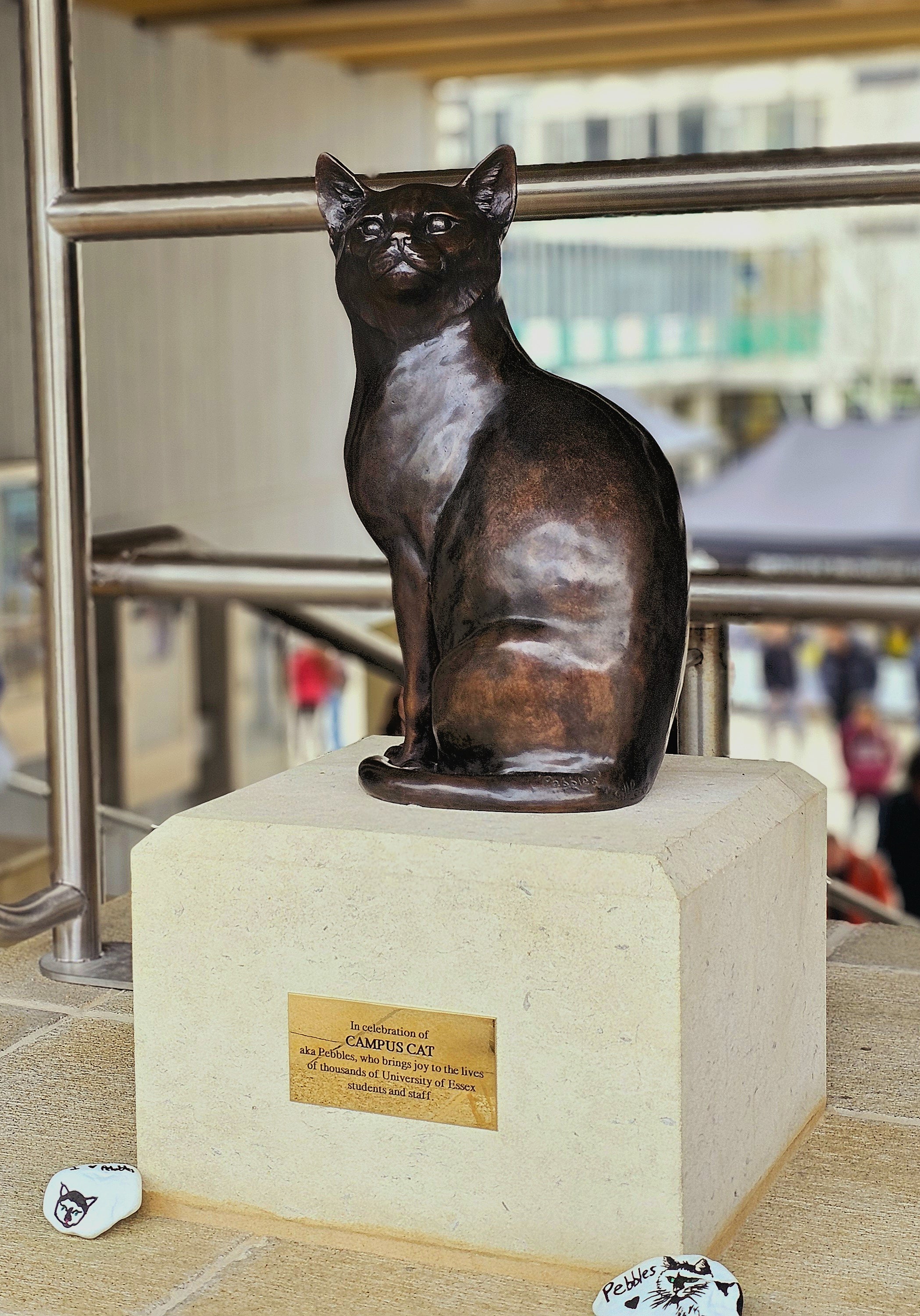 The bronze statue of Pebbles the cat at the University of Essex in Colchester