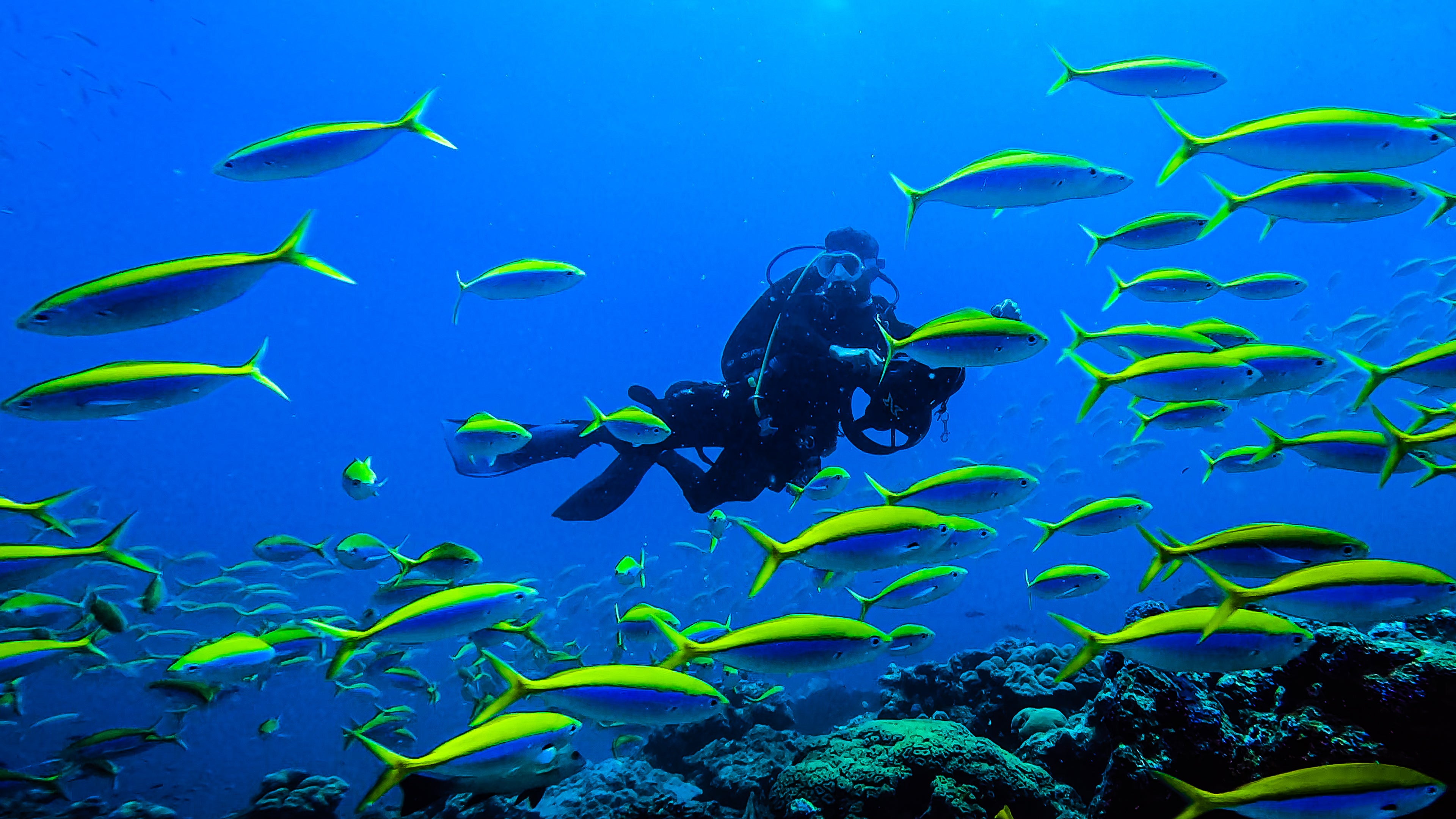 India’s diving scene is still nascent