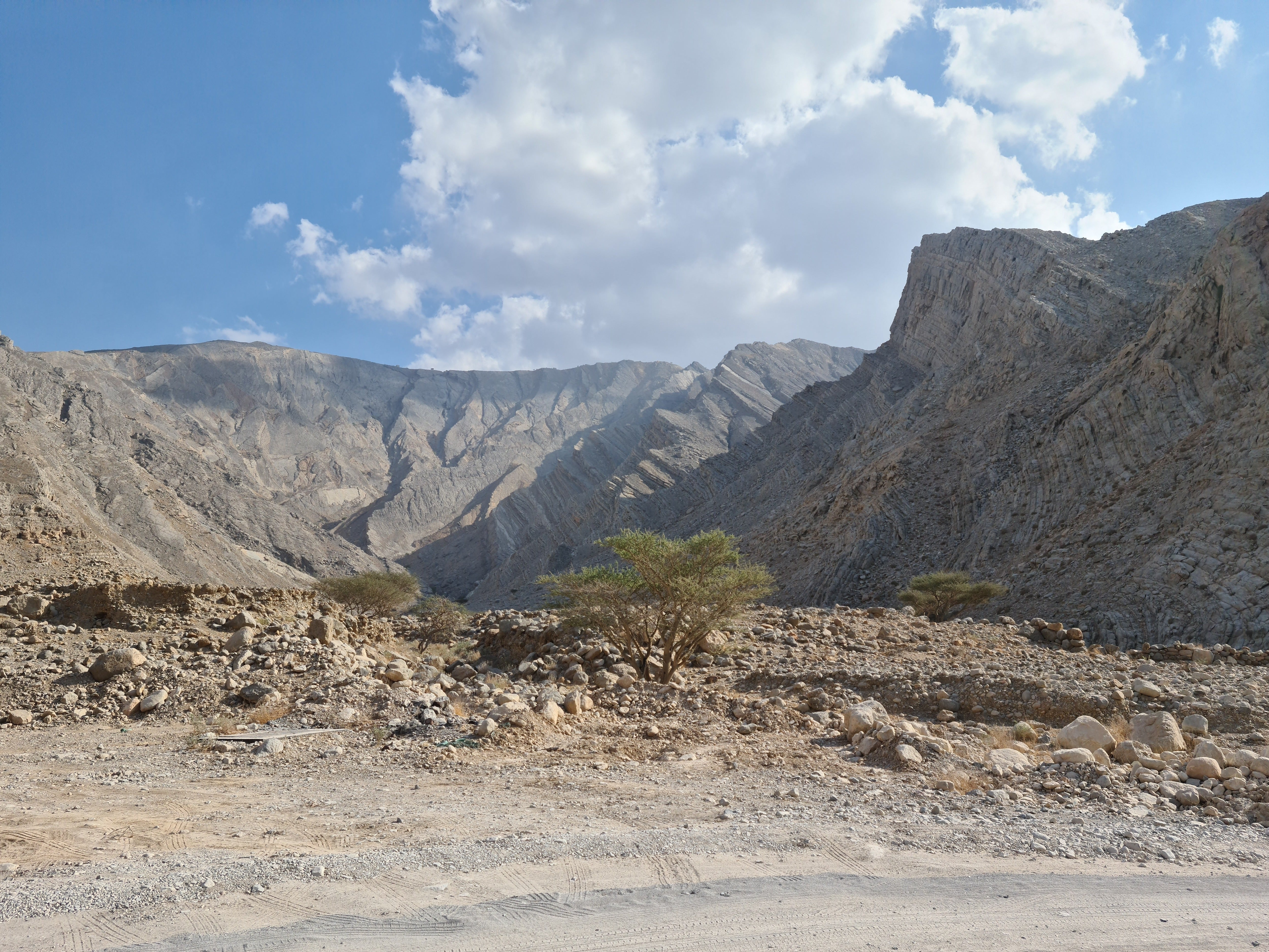Cassius Newton, 34, and Aran Martinson, 33, died after going for a hike at Wadi Naqab, a desert valley