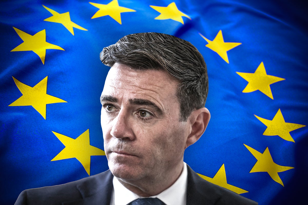 True cost of Brexit on UK trade revealed as calls to rejoin single market grow