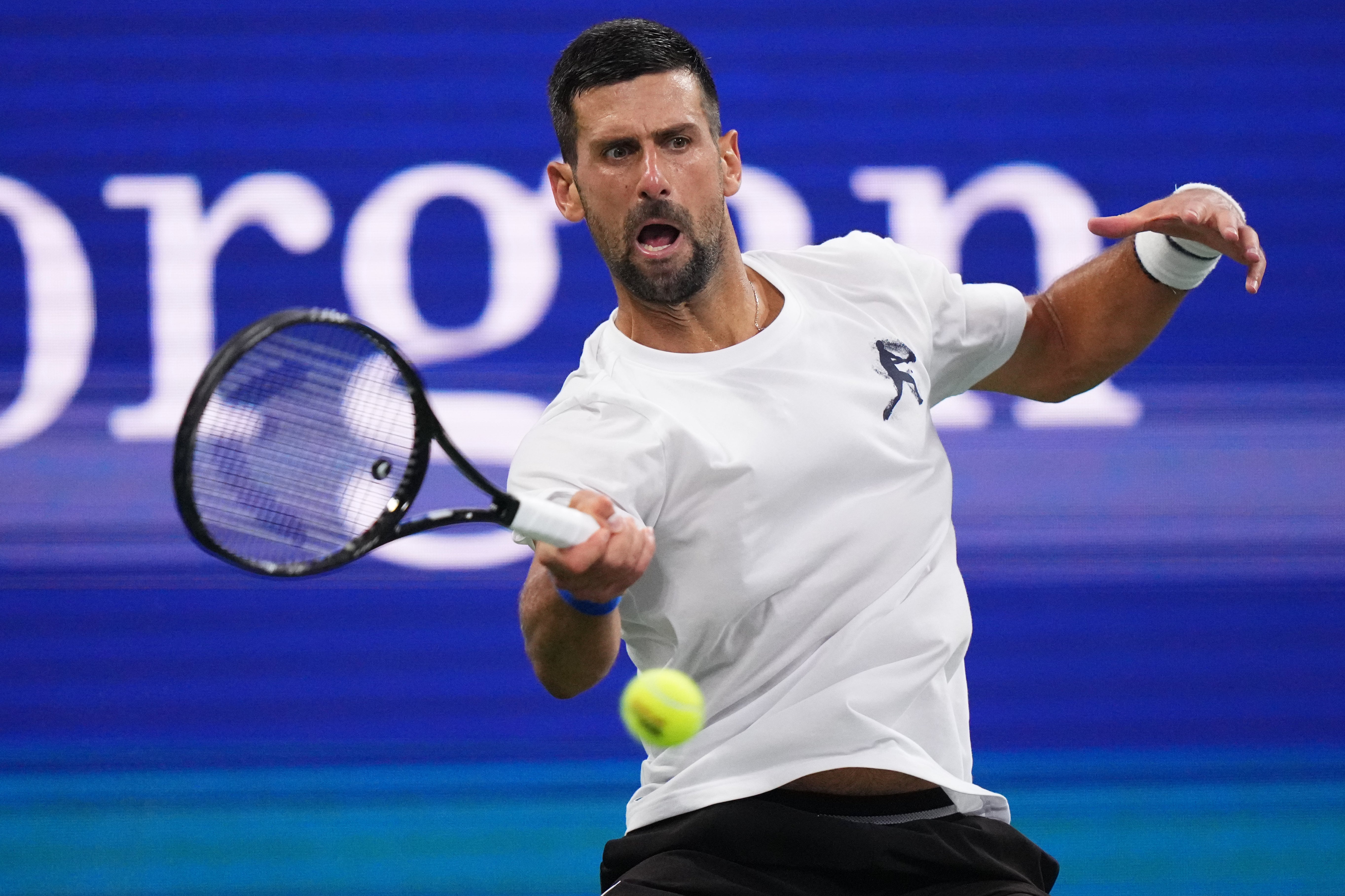 US OPEN-DJOKOVIC
