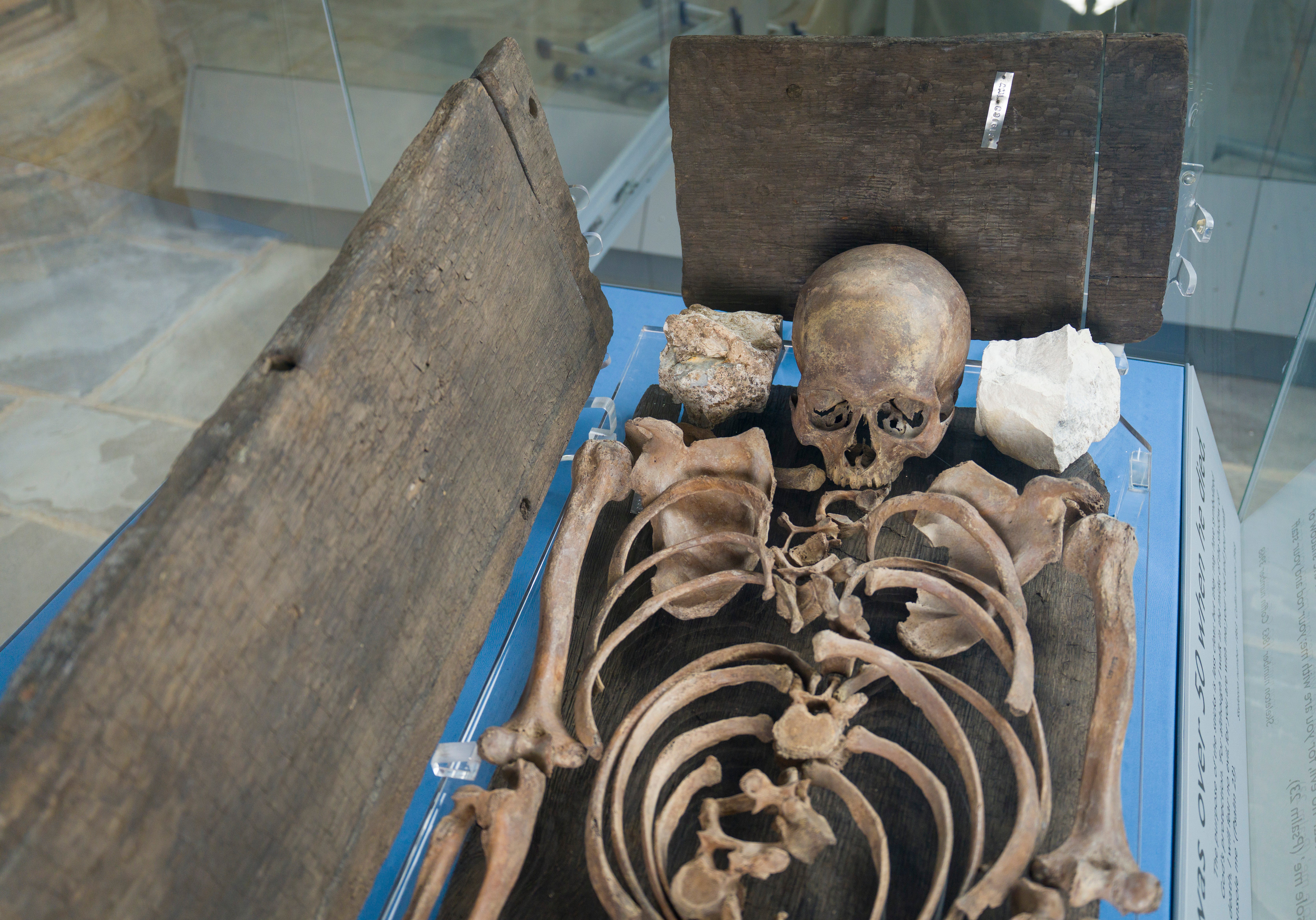 The skeleton of ‘Conquest Man’, at St Peter’s Church, in Barton-upon-Humber, North Lincolnshire, where he was originally buried in c1079. (Dominic Lipinski/English Heritage/PA)