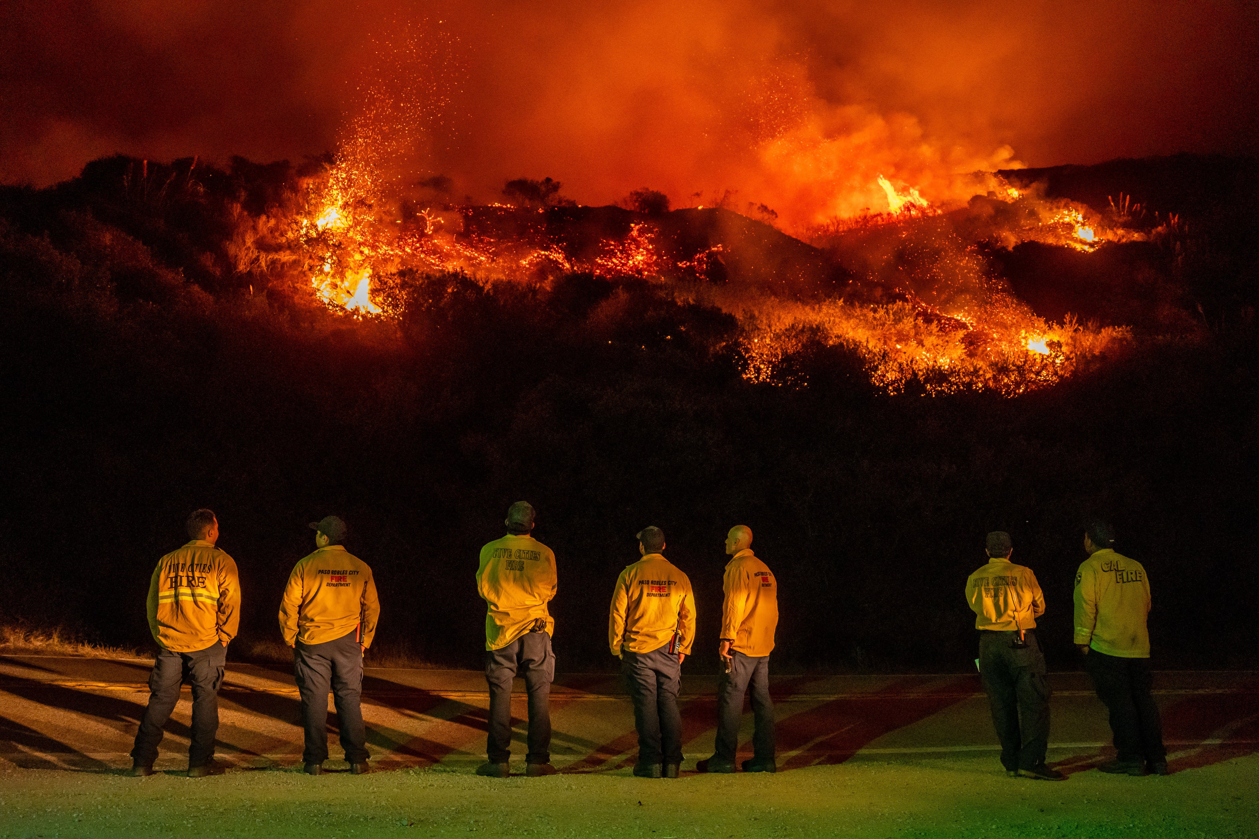 Countries around the world have been gripped by wildfires this summer amid extreme temperatures. Pictured: Big Sur in California