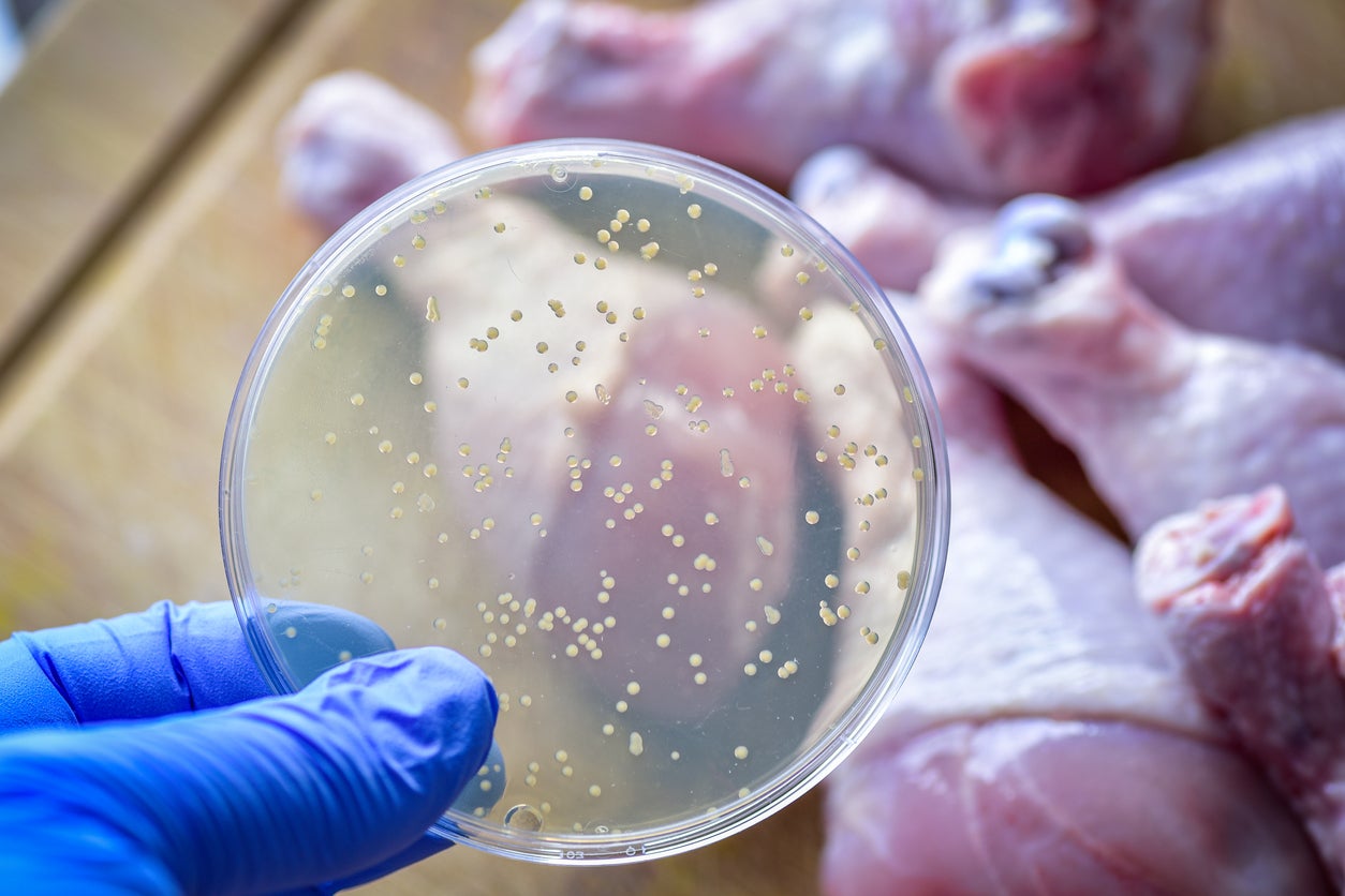 Food safety expert explains how to protect yourself from Salmonella