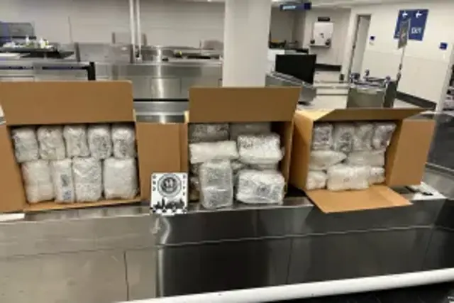 <p>Según las autoridades, este verano se han introducido de contrabando en EE. UU. miles de kilos de la droga “khat”, que han sido incautados en los aeropuertos</p>