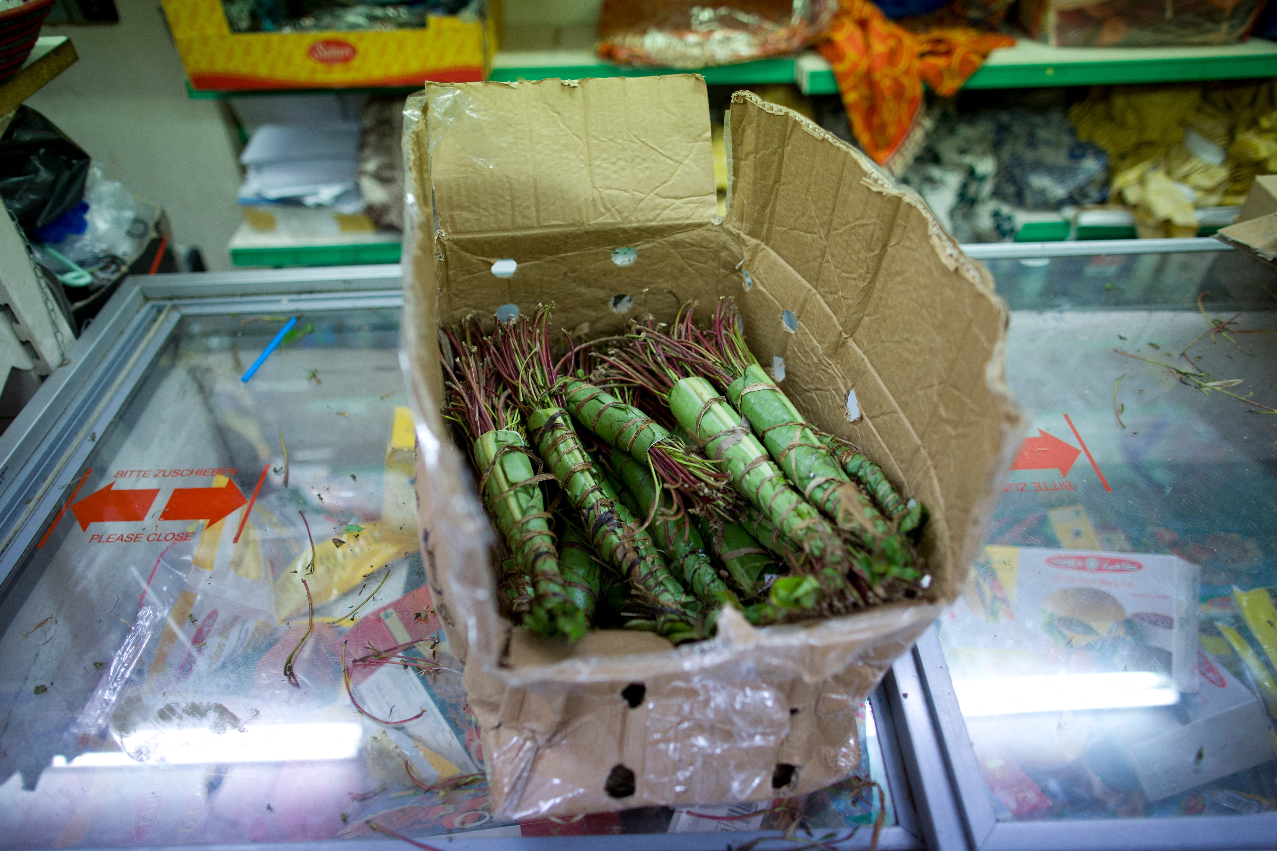 Large quantities of khat have been seized at several US airports in recent months