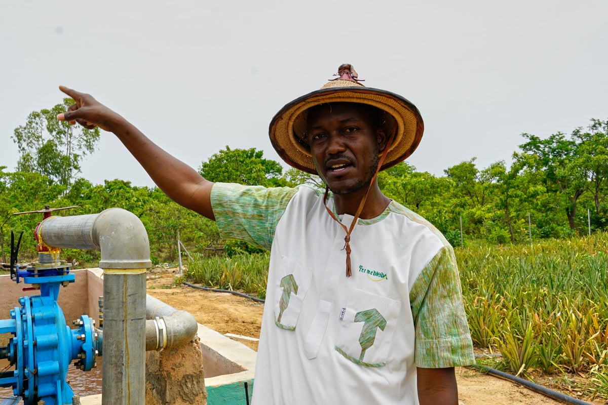 Farmers in Burkina Faso experiment with pineapple cultivation to improve food security