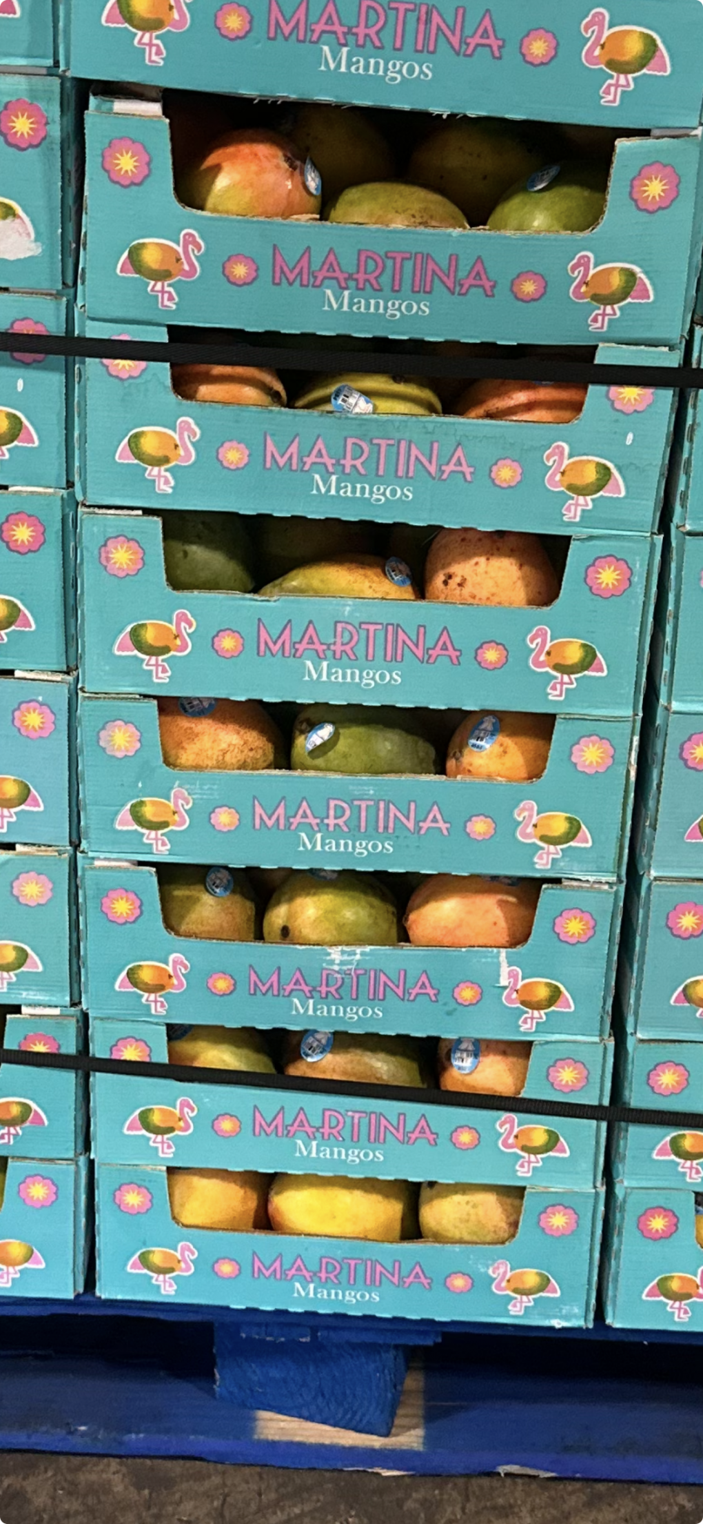 https://static.independent.co.uk/2026/09/01/12/51/mangoes-recalled.png?trim=764,0,765,0&width=1200&height=800&crop=1200:800