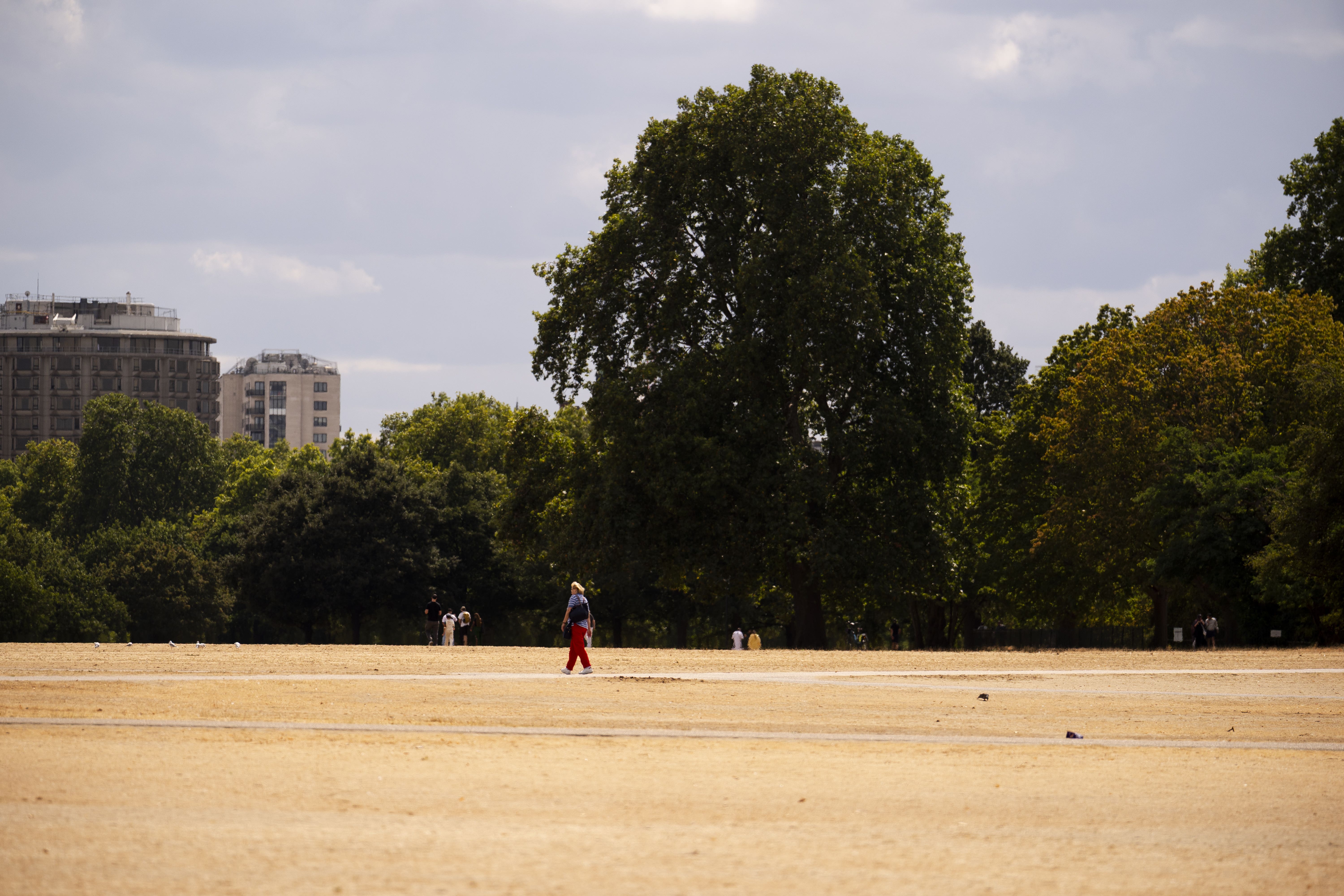 Many parts of the UK have had a hot, dry summer (Jordan Pettitt/PA)