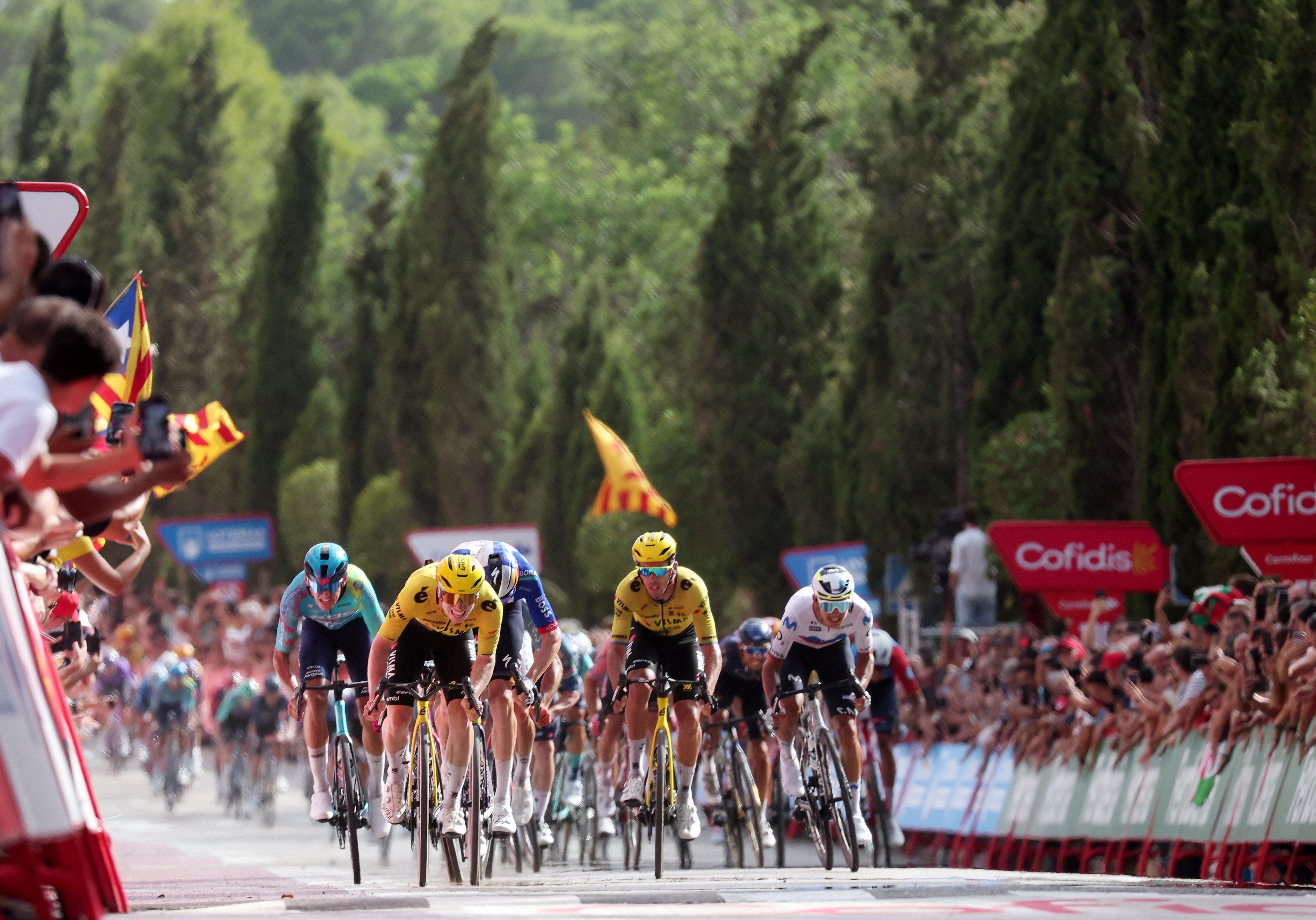 Bastien Tronchon denies Wout van Aert to win chaotic Vuelta a Espana stage 10