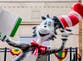 What is the ‘Cat in the Hat’ viral trend that is landing teens in trouble with the law?