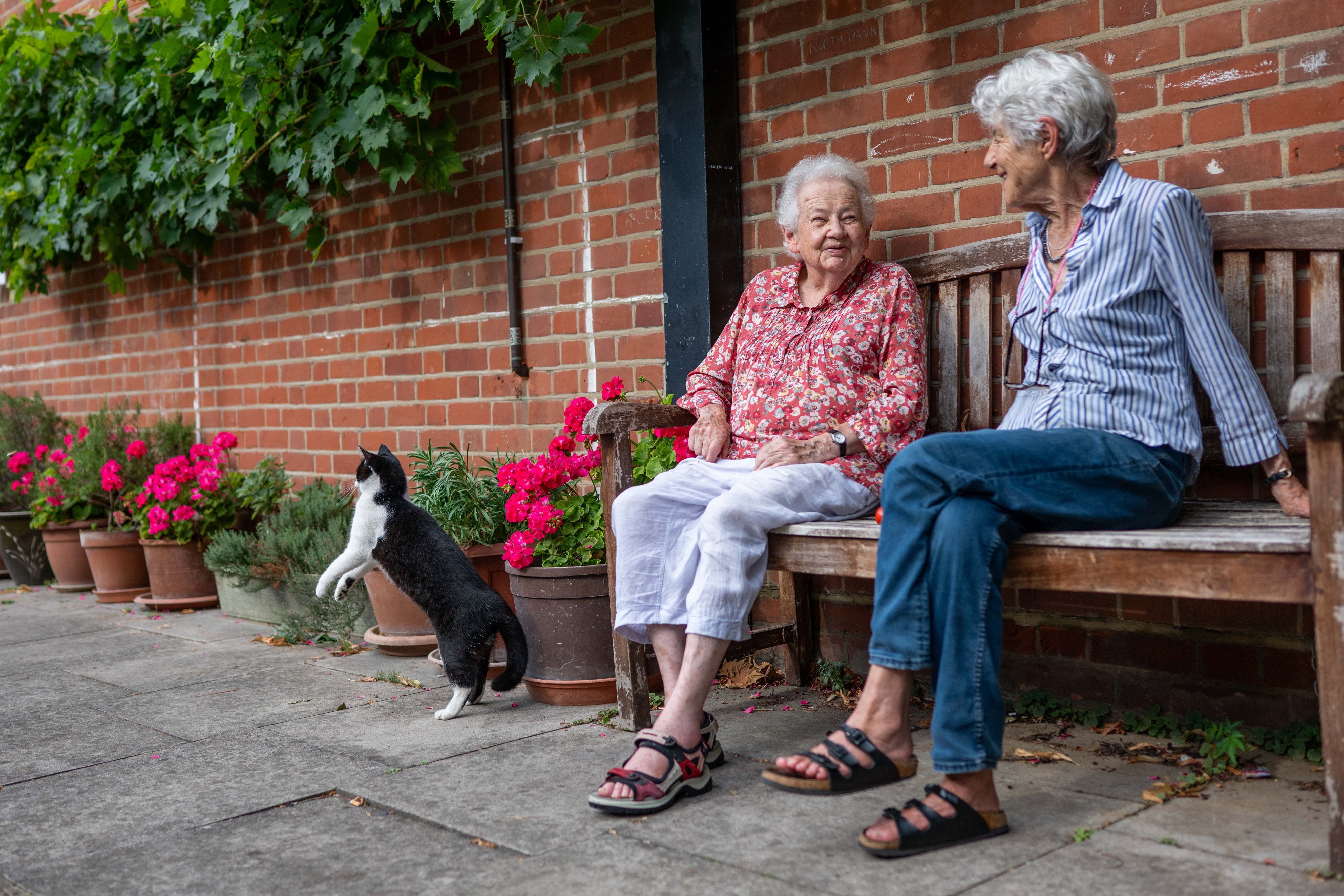 Katharine Hoskyns, 89, created a small oasis with a bench and some plant pots to cheer up the area outside her house in St John's Wood, northwest London, decades ago (James Linsell Clark/SWNS)