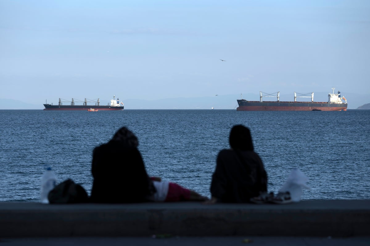 Search operation underway following cargo ship collision off Istanbul coast